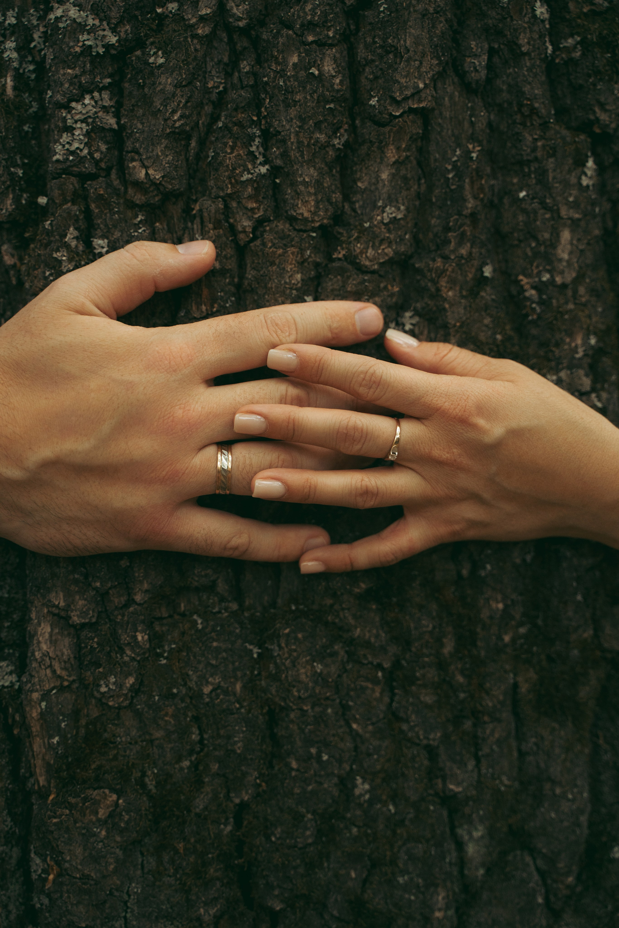 Лес. Фотограф Мария Зайчик