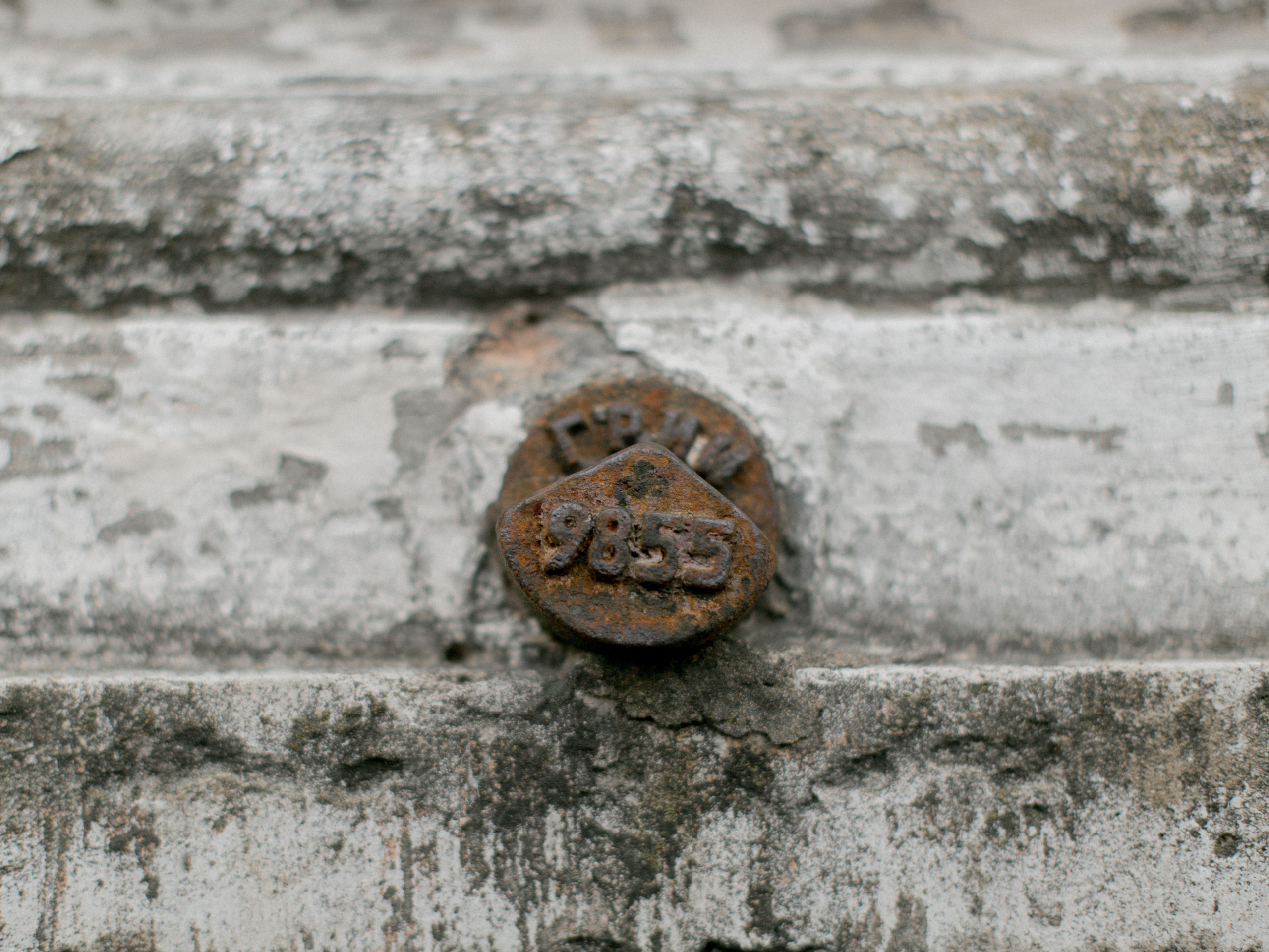 Вероника. Снимаю съемки