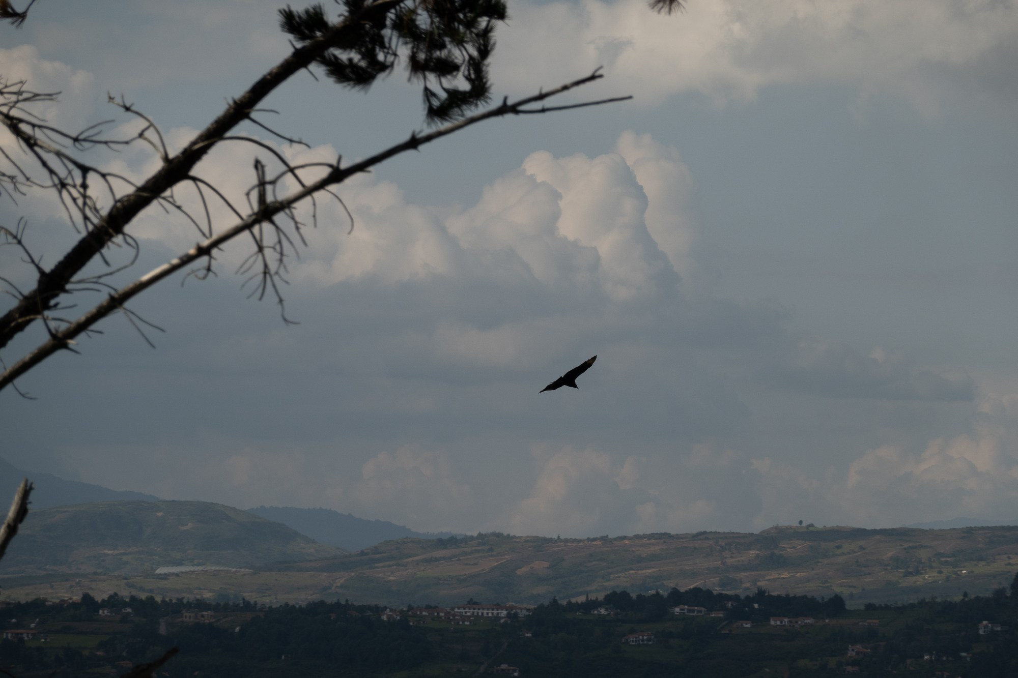 Алексей Скоробогатько, фотограф.  Колумбия Вилья-де-Лейва. Alexey Skorobogatko, photographer, Colombia Villa de Leyva. Фотограф Алексей Скоробогатько