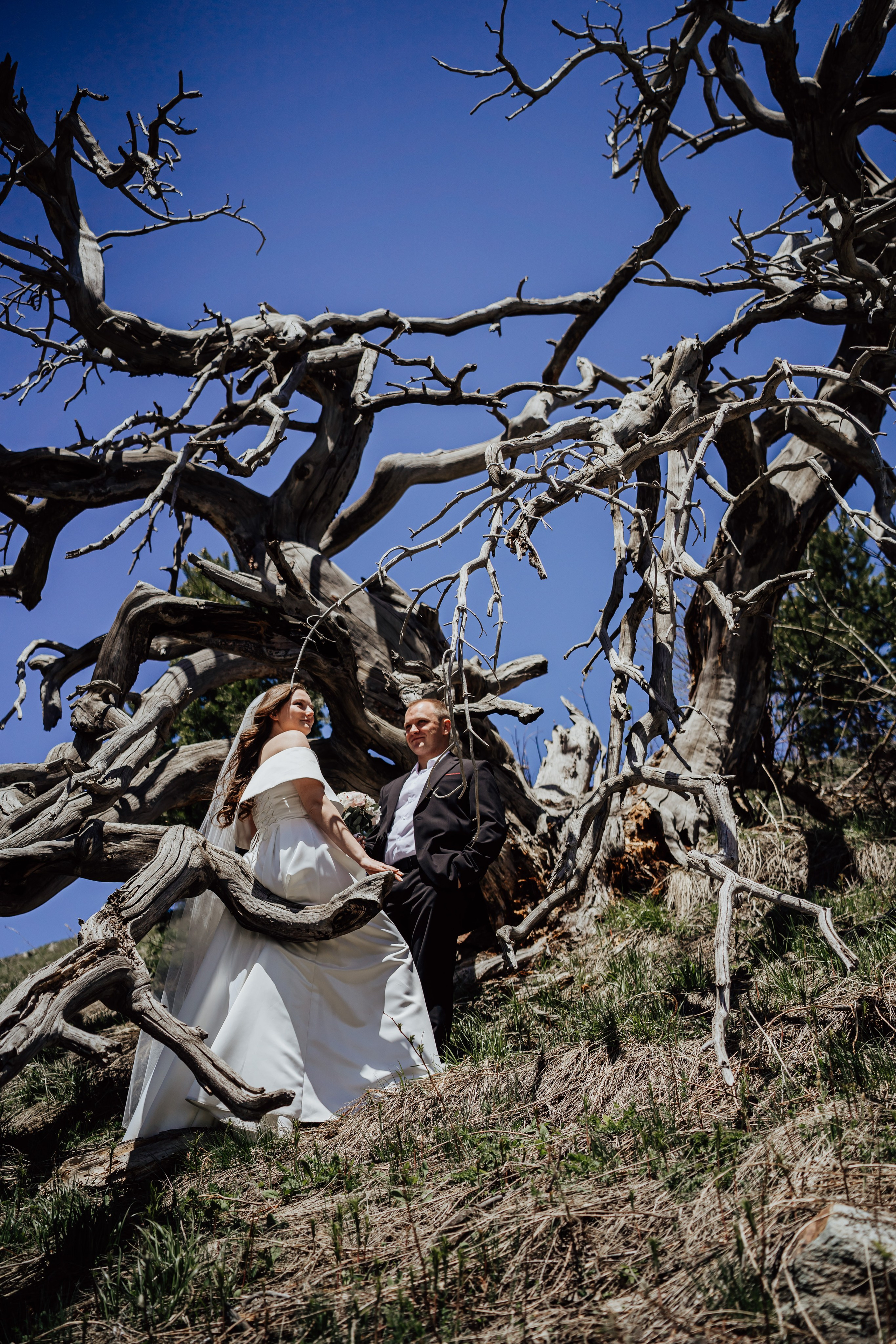Свадебные съёмки. Фотограф Диана Семенова