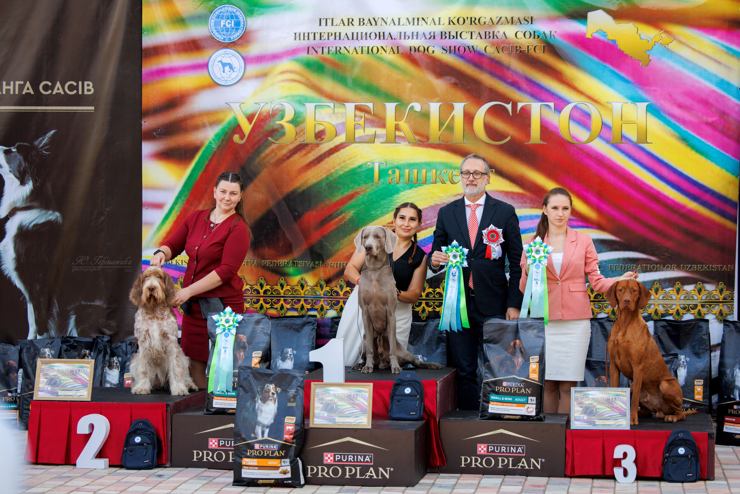 Ташкент 3хCACIB 3-5.10.2025. Фотограф-анималист Юлия Германика