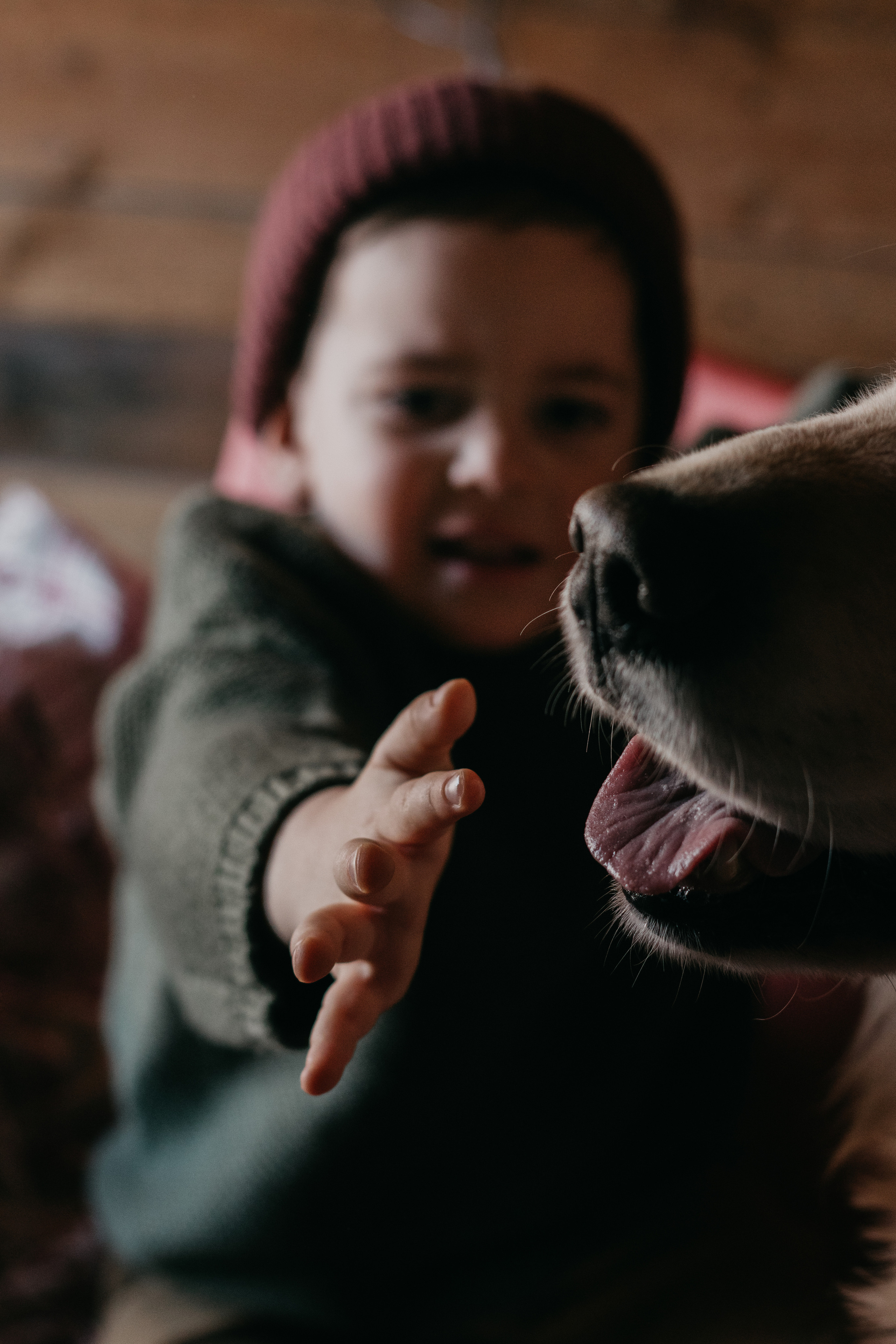 Семейная съемка с собакой. Семейный фотограф Пятигорск, Кисловодск, Эльбрус. Марина Вяликова