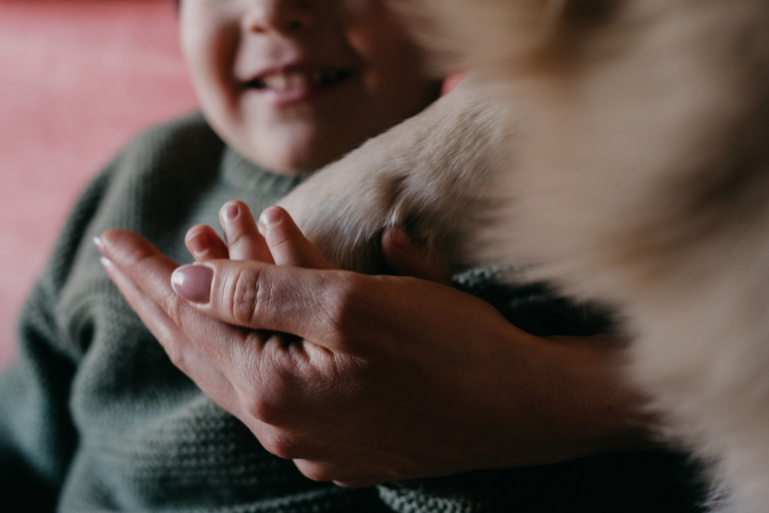 Семейная съемка с собакой. Семейный фотограф Пятигорск, Кисловодск, Эльбрус. Марина Вяликова