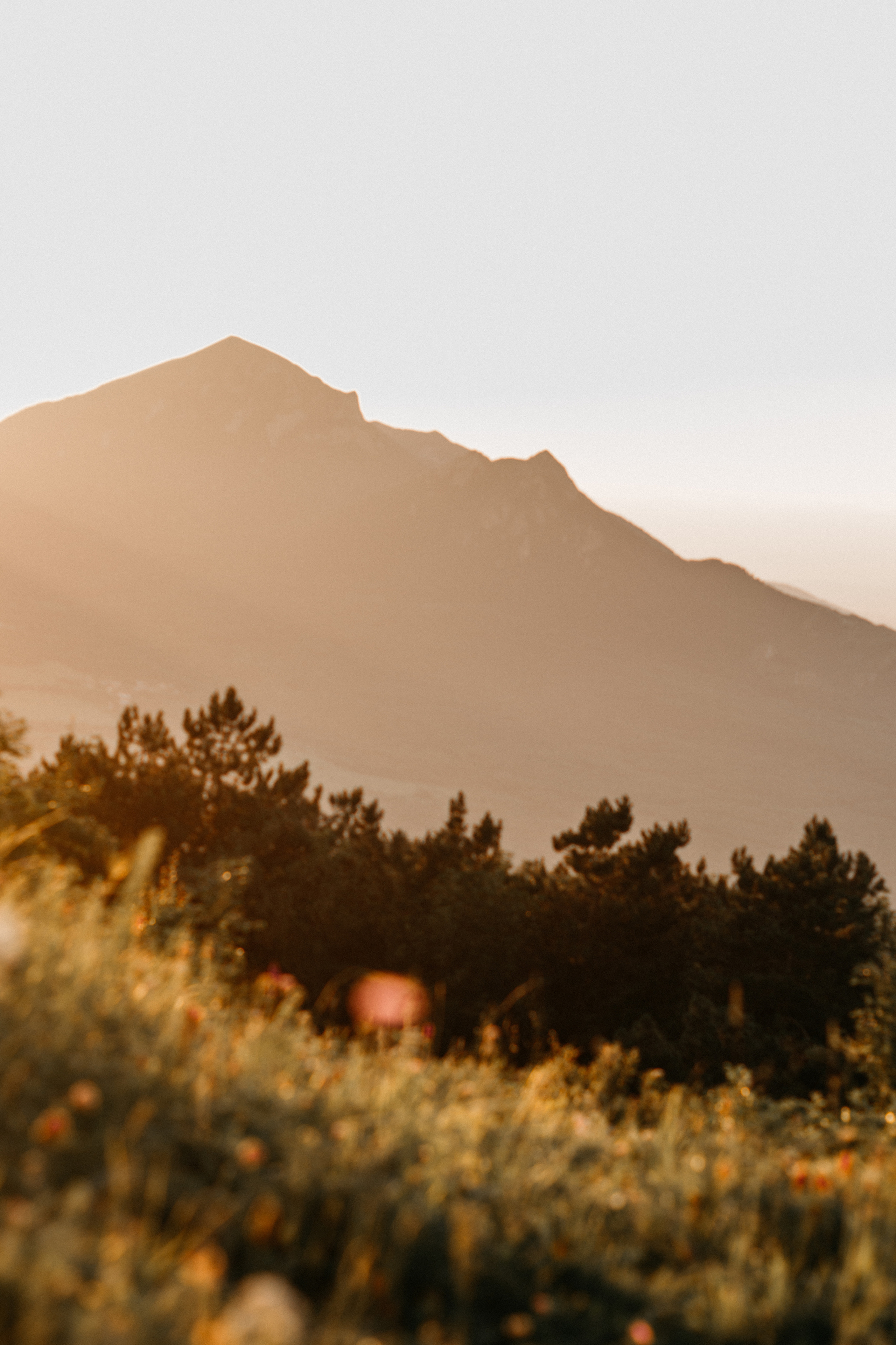 Семейный фотограф Пятигорск, Кисловодск, Эльбрус. Марина Вяликова