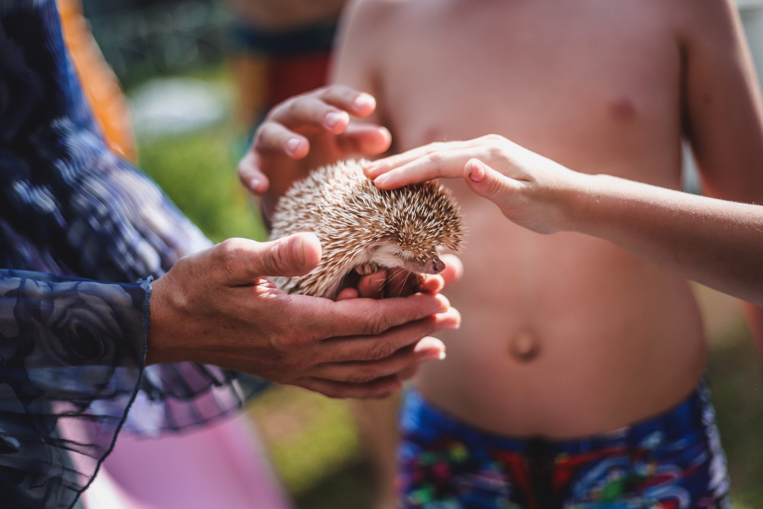 День рождение Скай. Фотограф Томск Скавронский Даниил