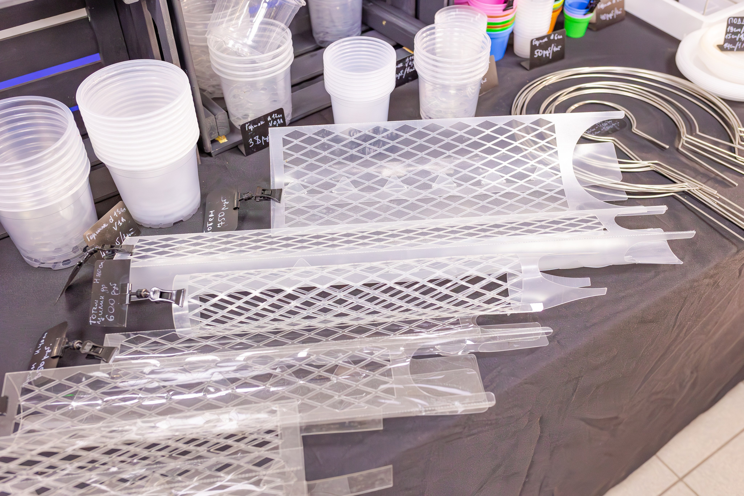 Орхидиум сентябрь 2025. Александра Куликова фотограф, Москва