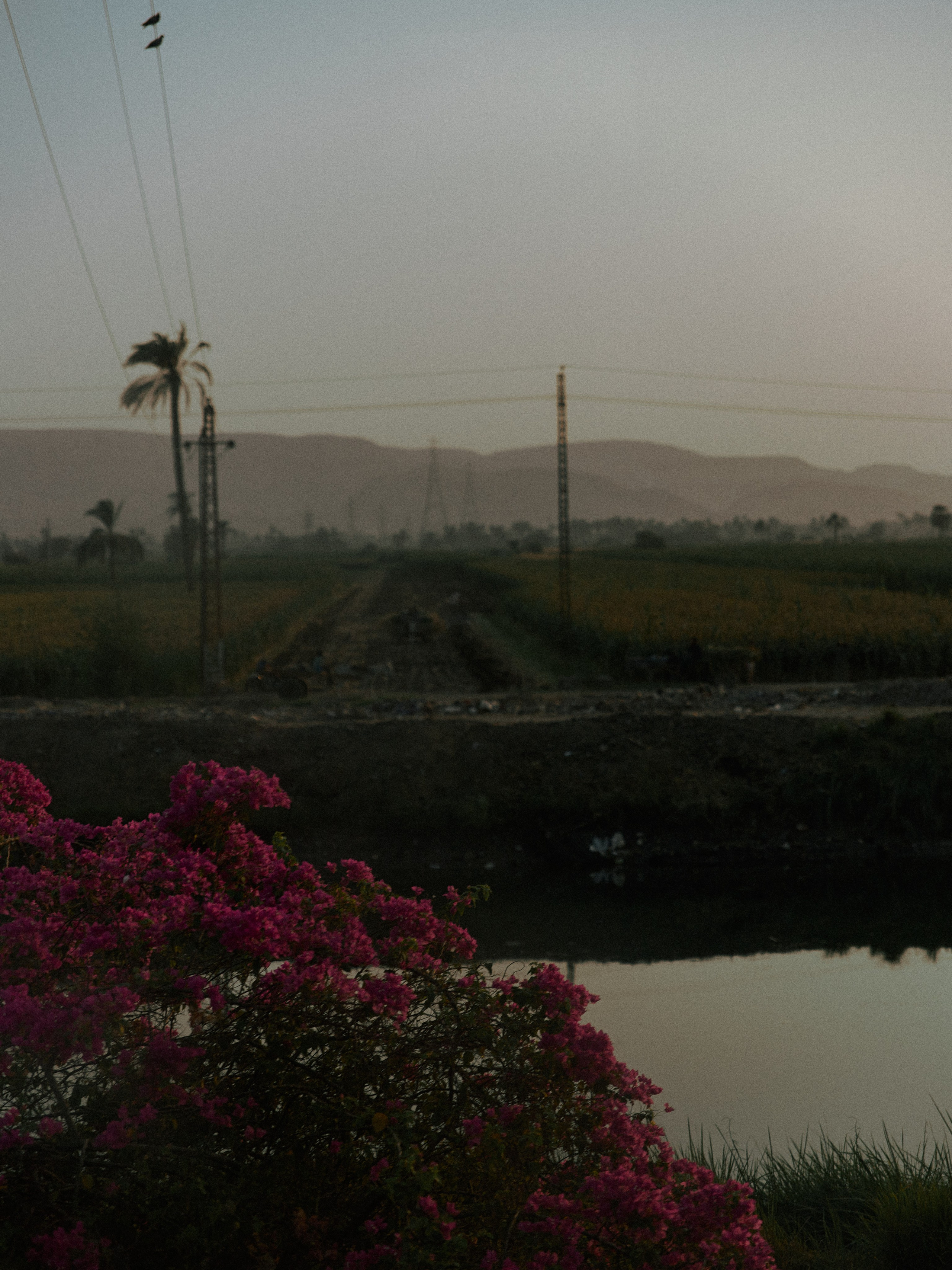 Диптих. Jorgis — фотограф в Хургаде / обучение фотографии