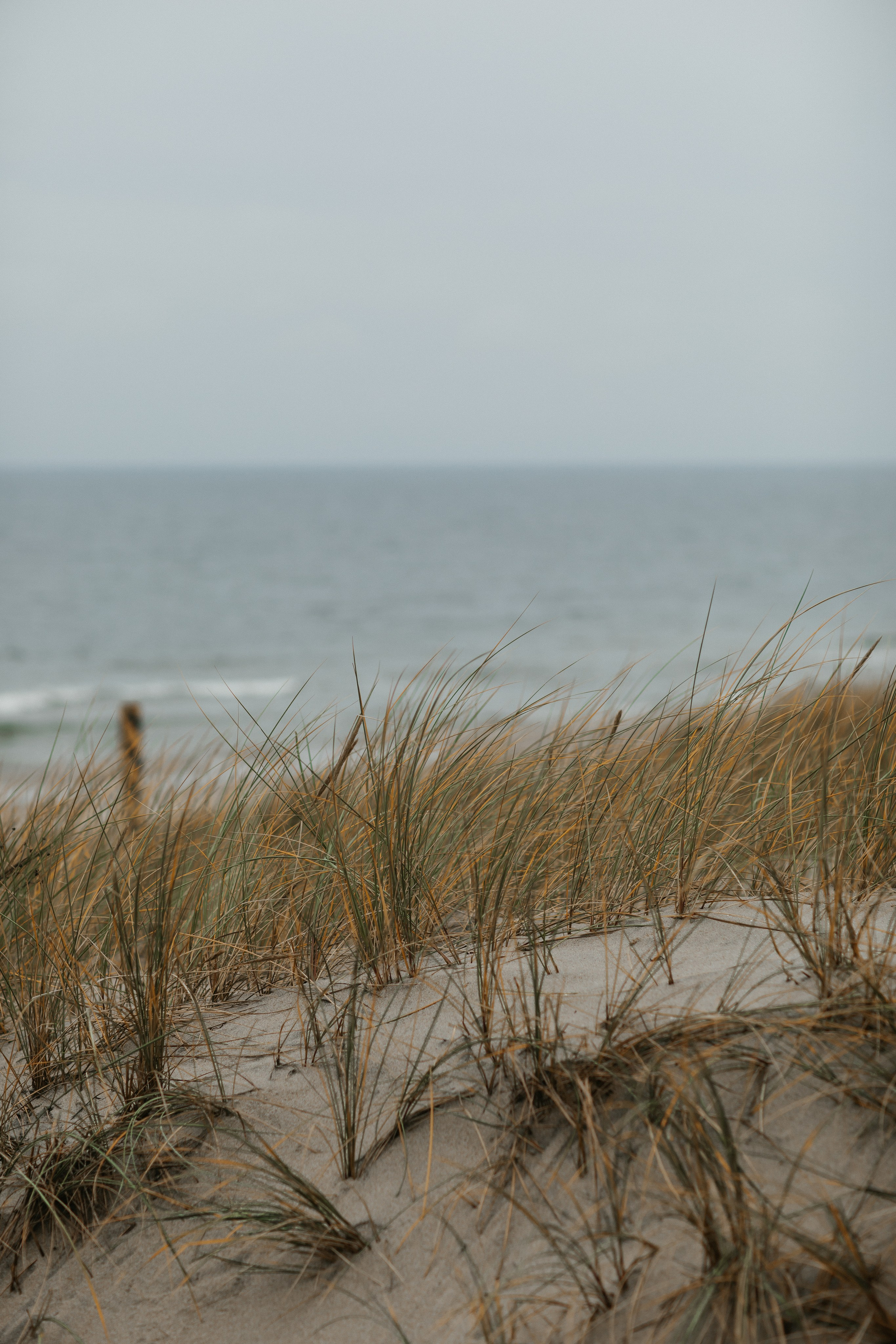Фотосессия в Балтийске. Свадебный и семейный фотограф/видеограф в Краснодаре Наталья Осинская
