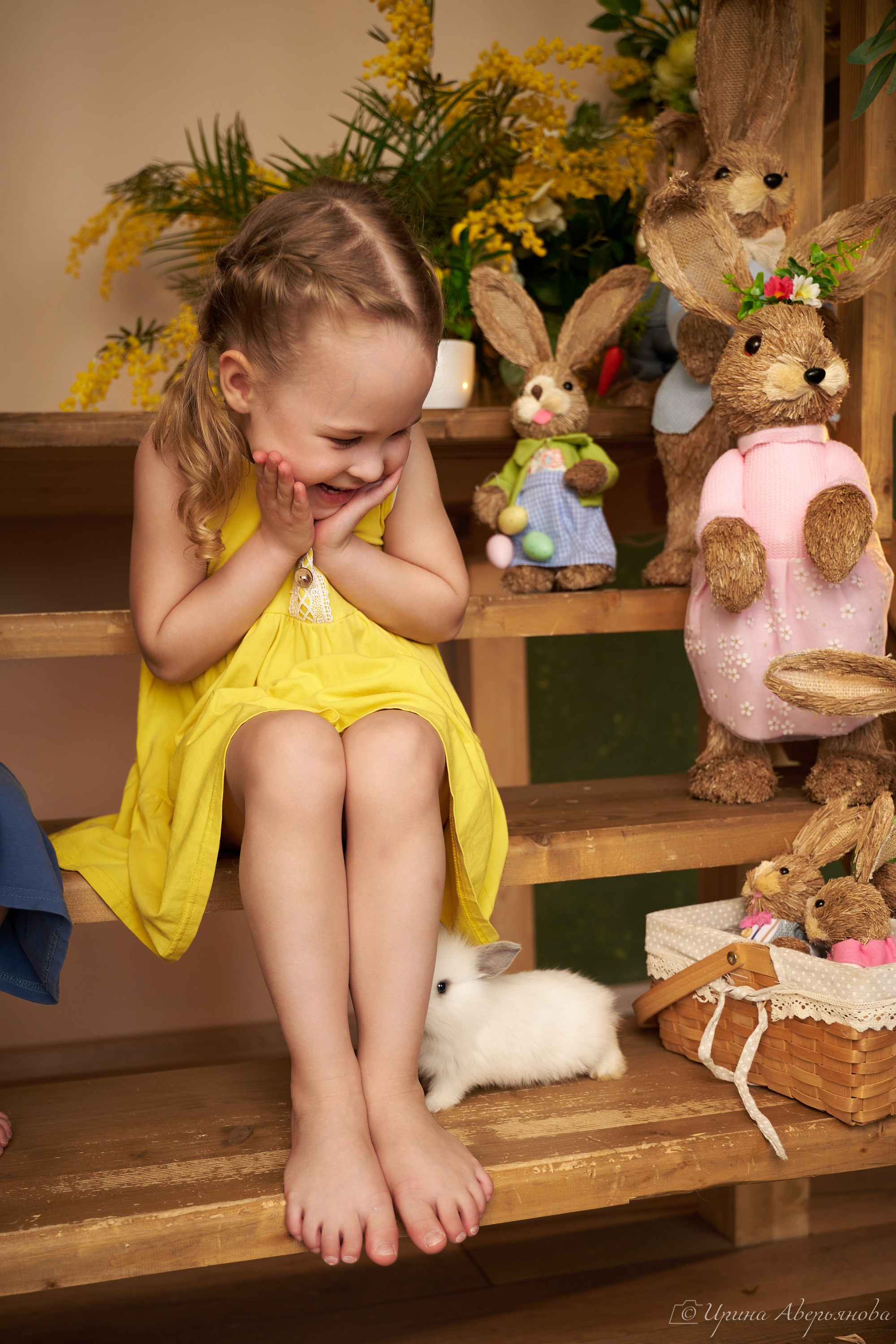 Фотопроект с декоративными кроликами. Фотограф в Ульяновске Ирина Аверьянова