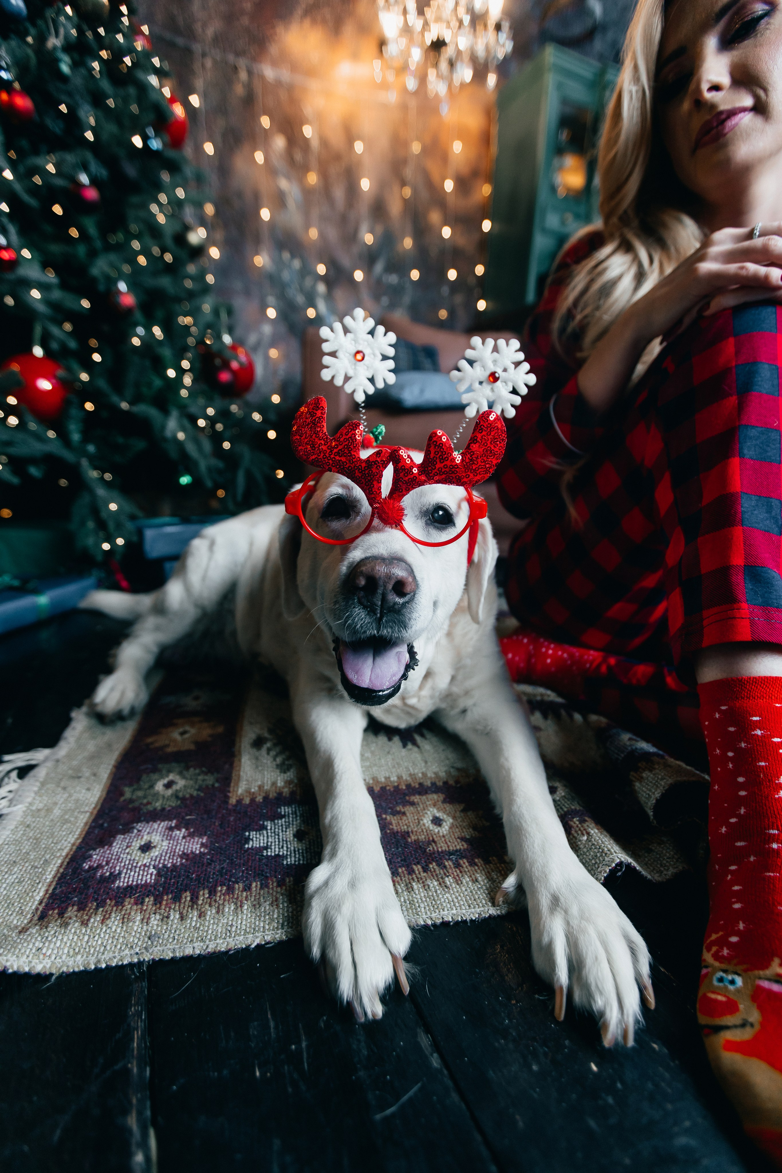 Новогодние фотопроекты. Свадебный и семейный фотограф в Нижнем Новгороде и Москве Сергей Полян