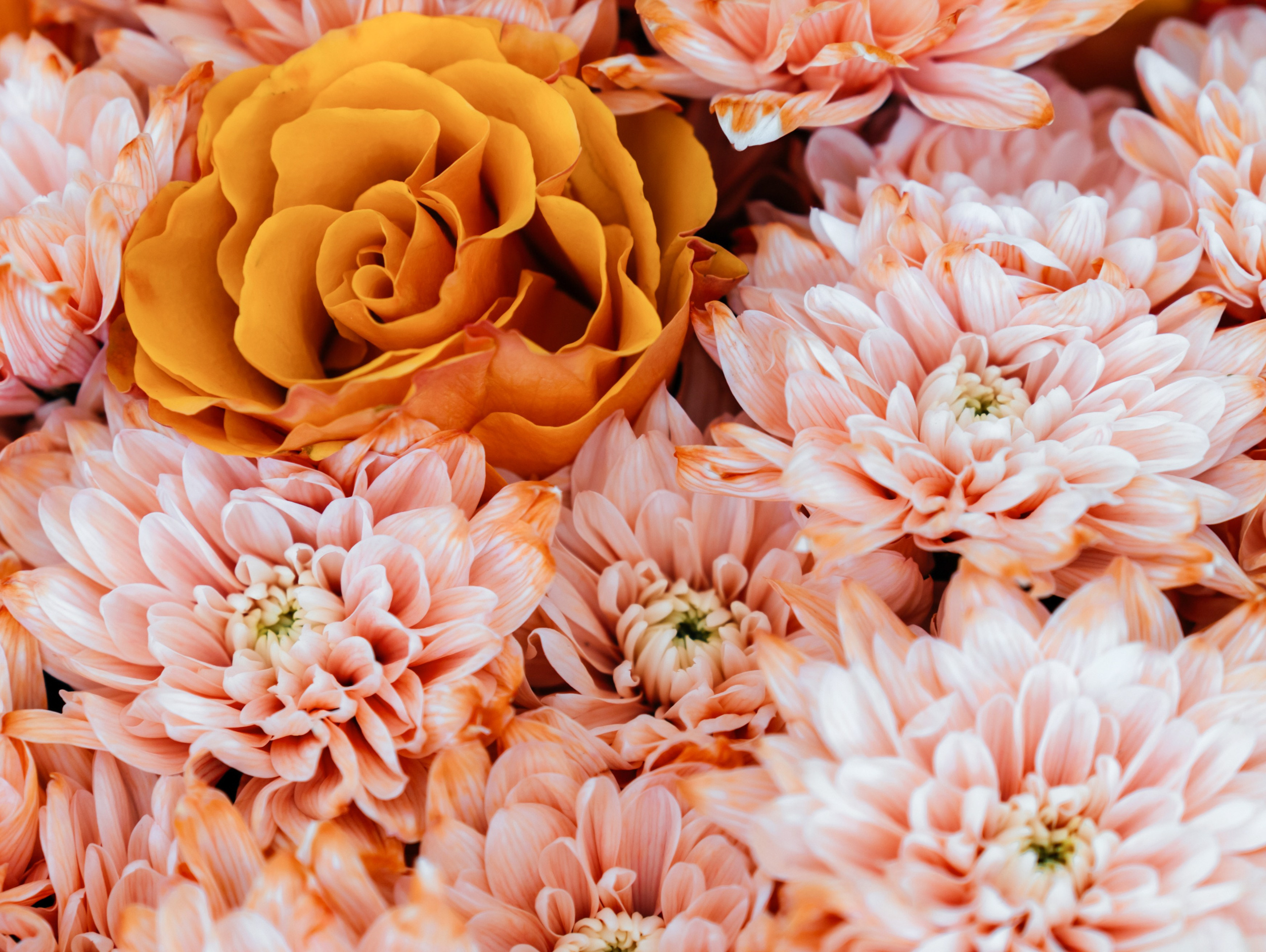 Магия любви ✨. Свадебный фотограф и видеограф в Тольятти, Самаре и Москве — Арзу Магеррамов