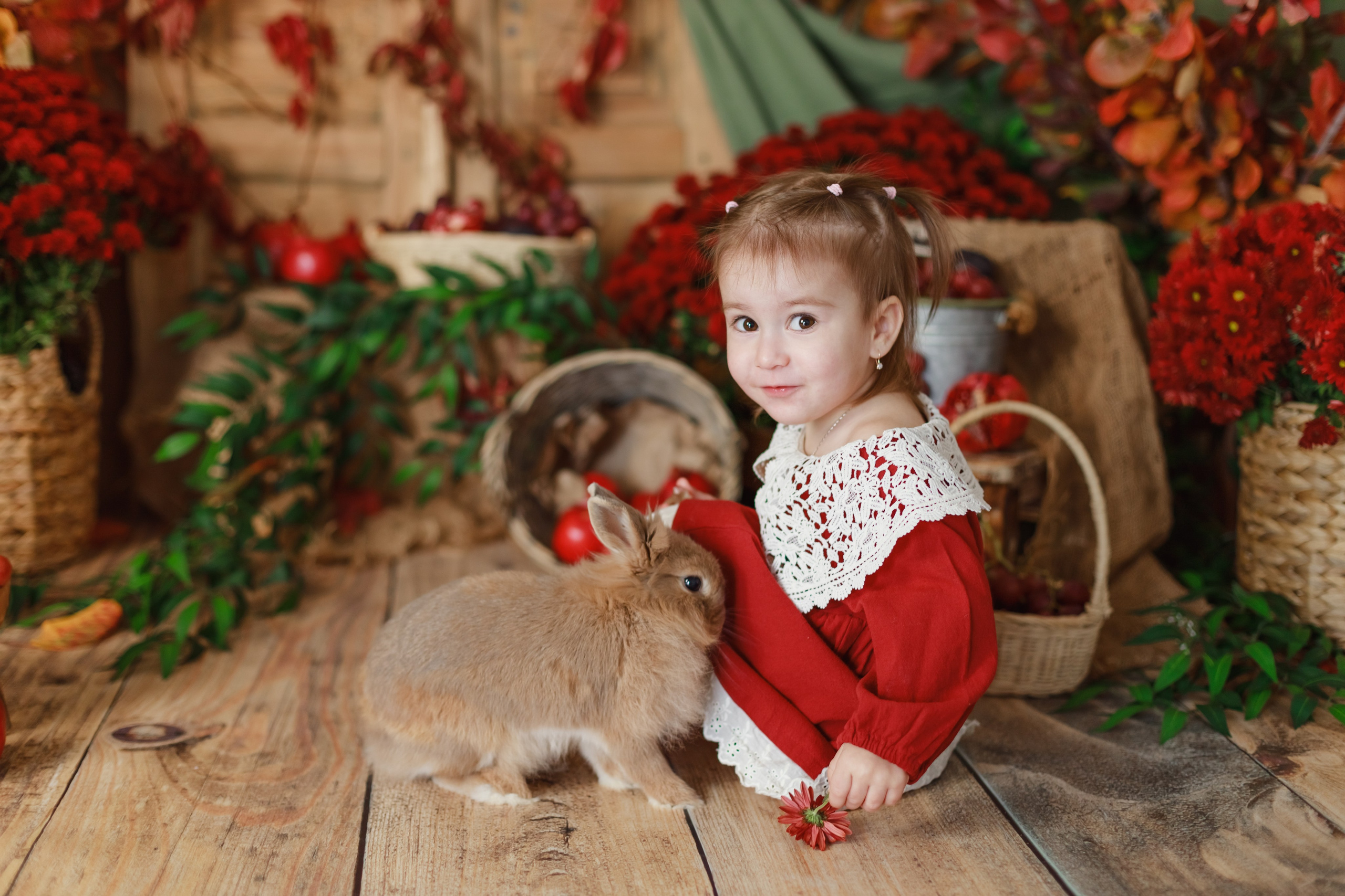 Гранаты 2024. Детский и семейный фотограф в Краснодаре Альбина Морозова