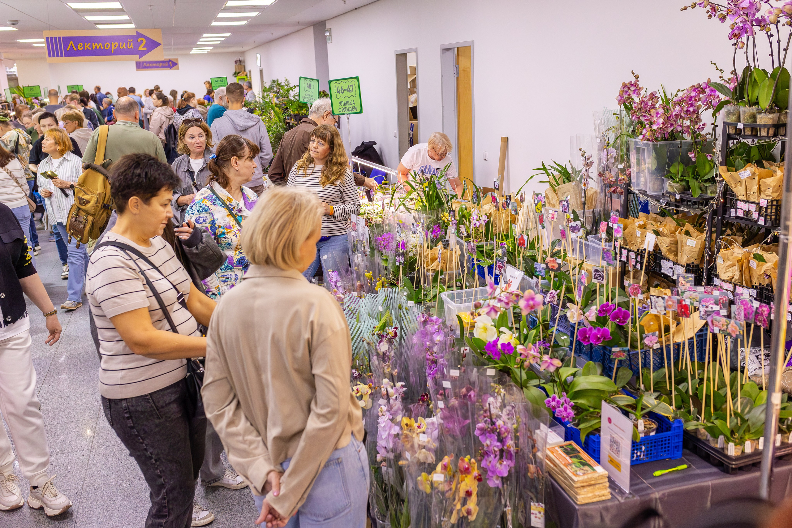 Орхидиум сентябрь 2025. Александра Куликова фотограф, Москва