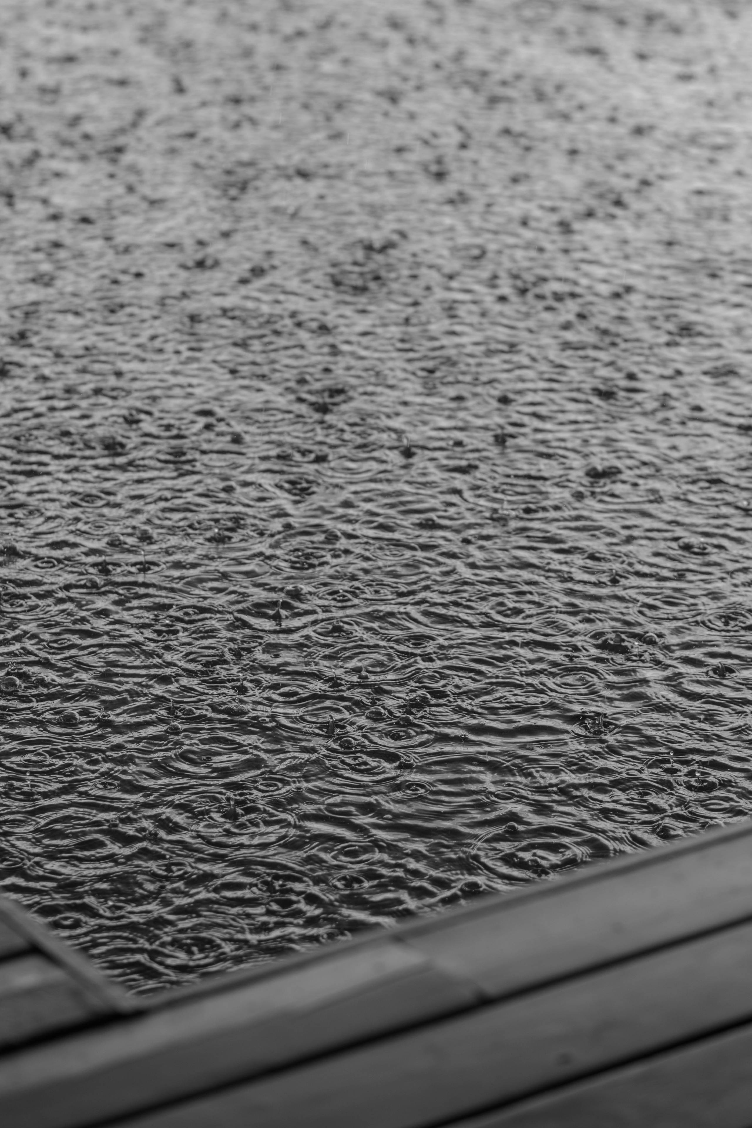 Алина & Андрей. Оформление свадеб, декор свадеб Вера Маркова, Москва