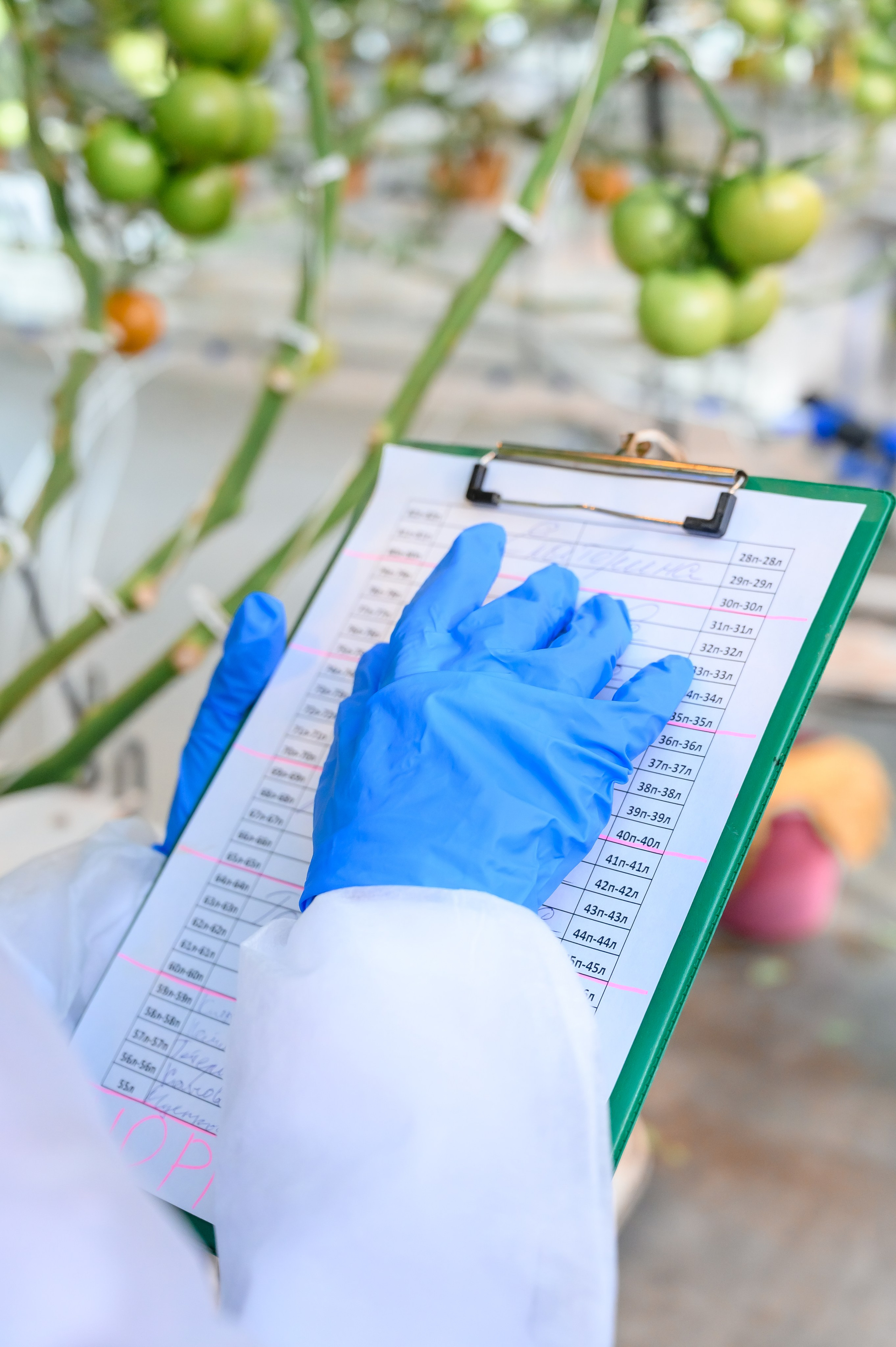 Тепличный комплекс «ПЕРМСКИЙ»