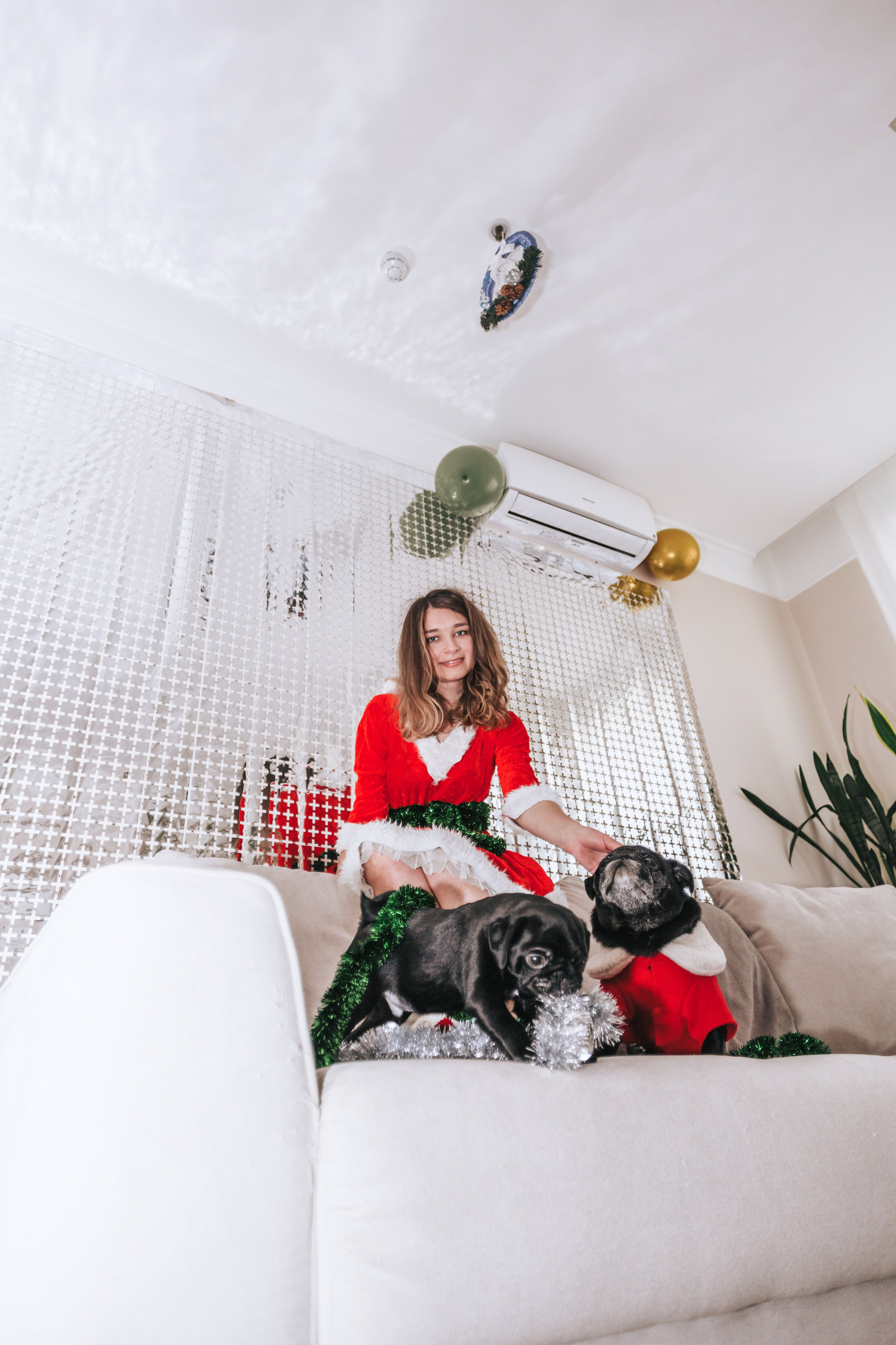 Домашняя фотосессия Оли и двух ее мопсов. Фотограф-анималист Татьяна Степанова