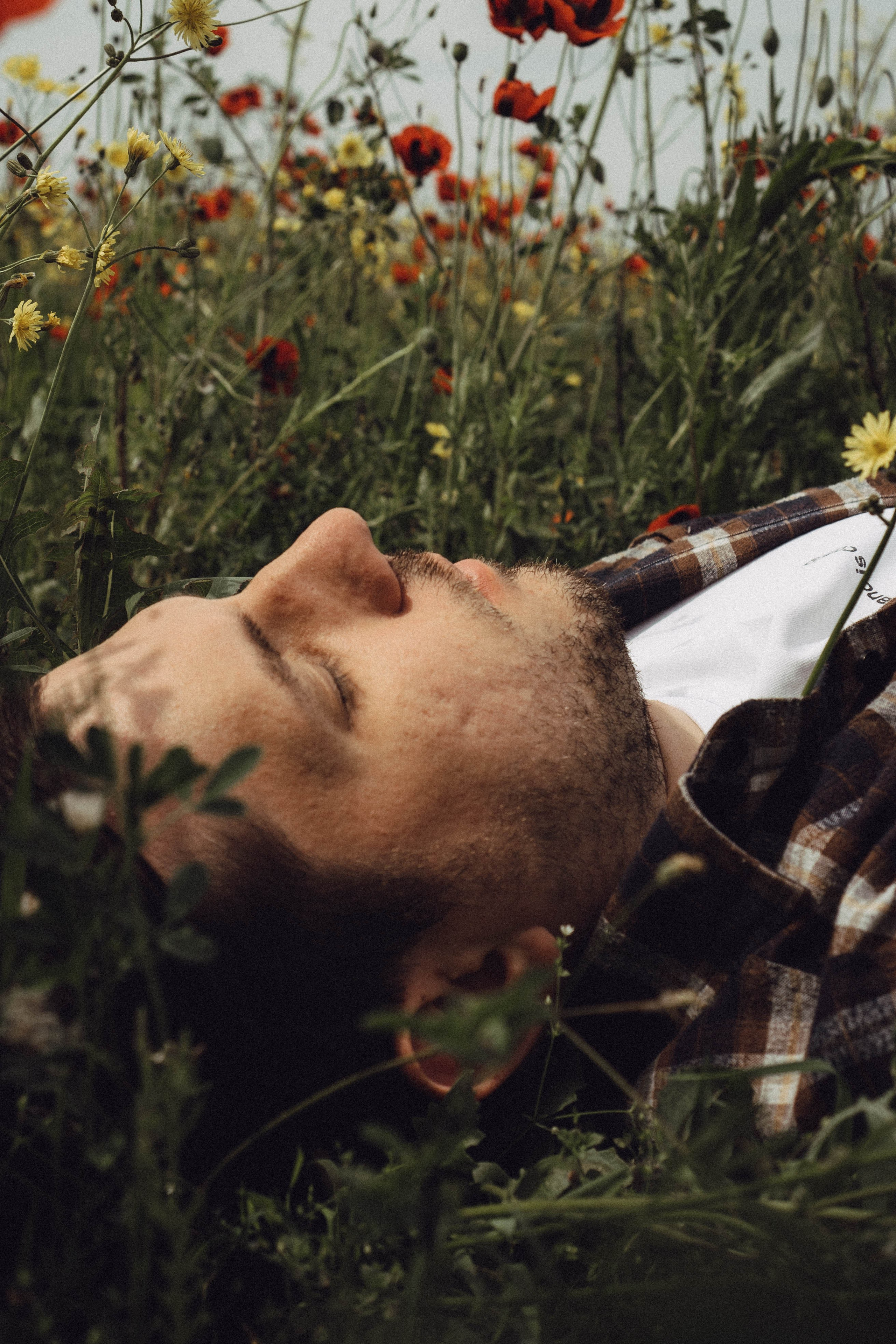 Маки. Профессиональный фотограф, Санкт-Петербург — Виктория Богомолова