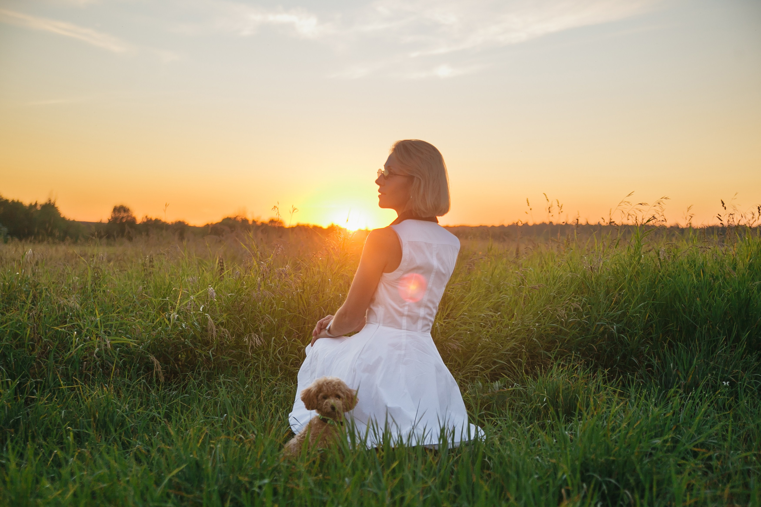 Девушка, закат, собака. Семейный фотограф, свадебный фотограф, женский портрет в Санкт-Петербу