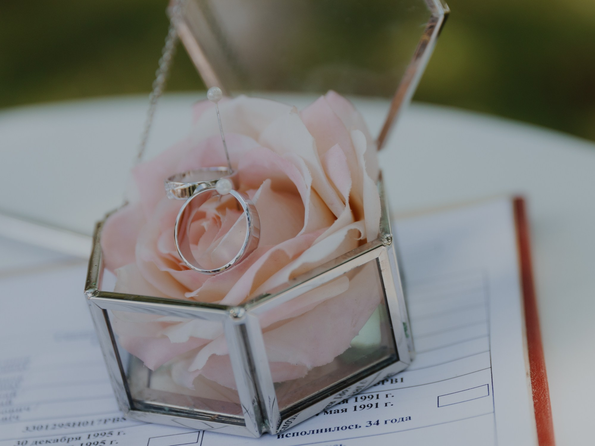 Екатерина и Николай (полный день). Свадебные фотографы в Гомеле и Минске Сергей и Анастасия Фещенок