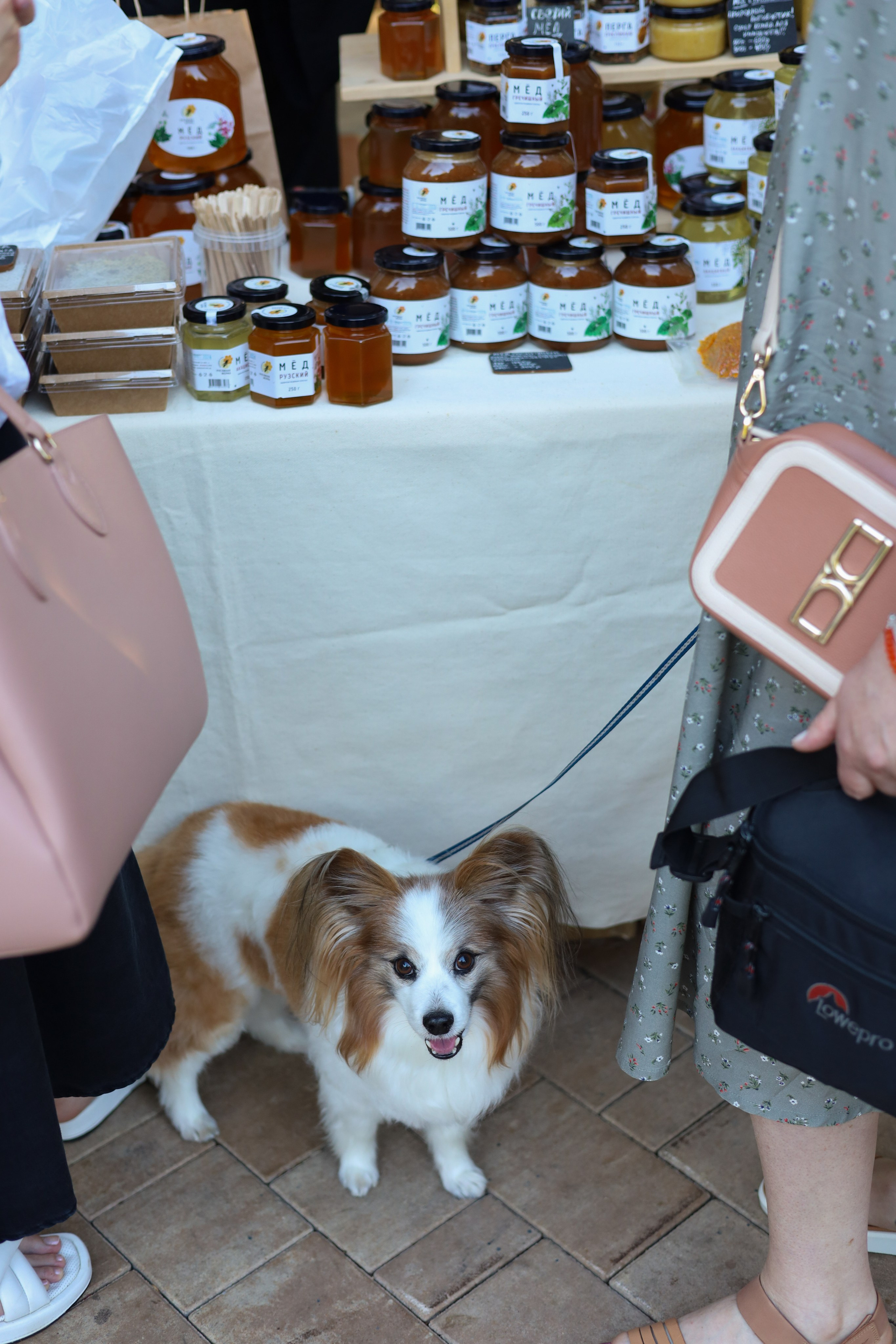 Маркет БОЧКА. Фотограф Светлана Бурова