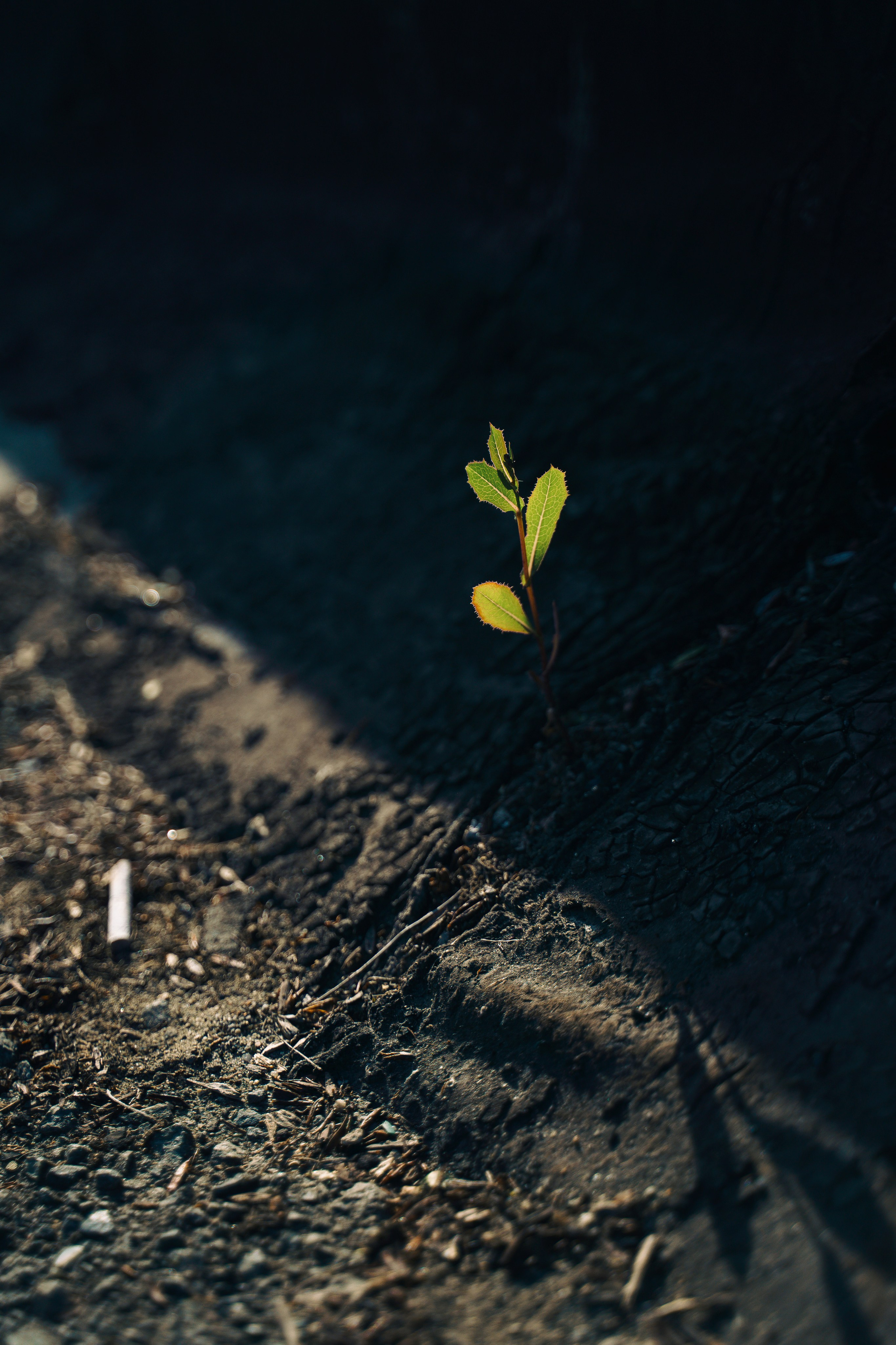 Стёпа. Репортажный фотограф Даниил Коваленко