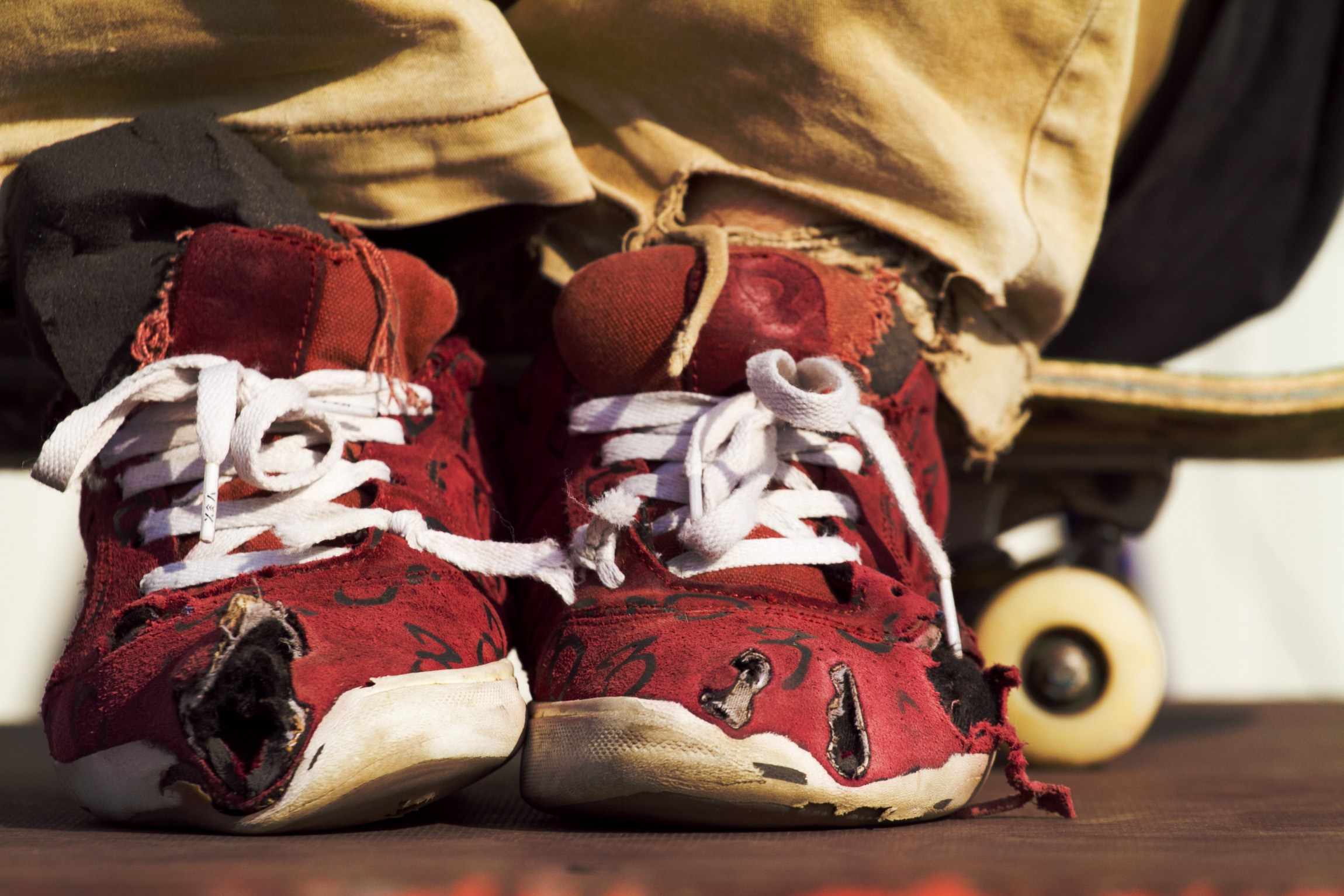 Lifestyle. Bivol images