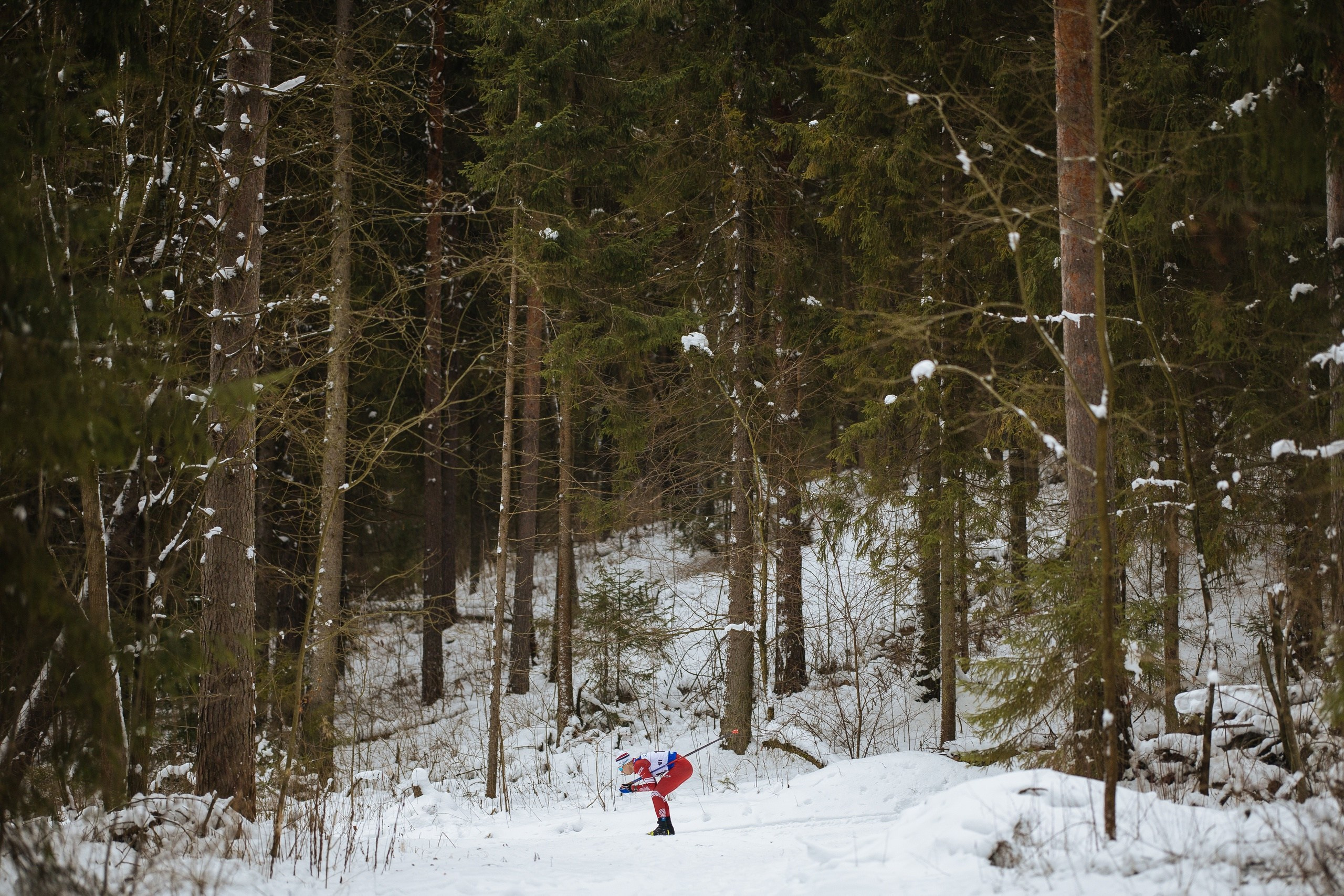 Спорт. Роман Кручинин — спортивный фотограф