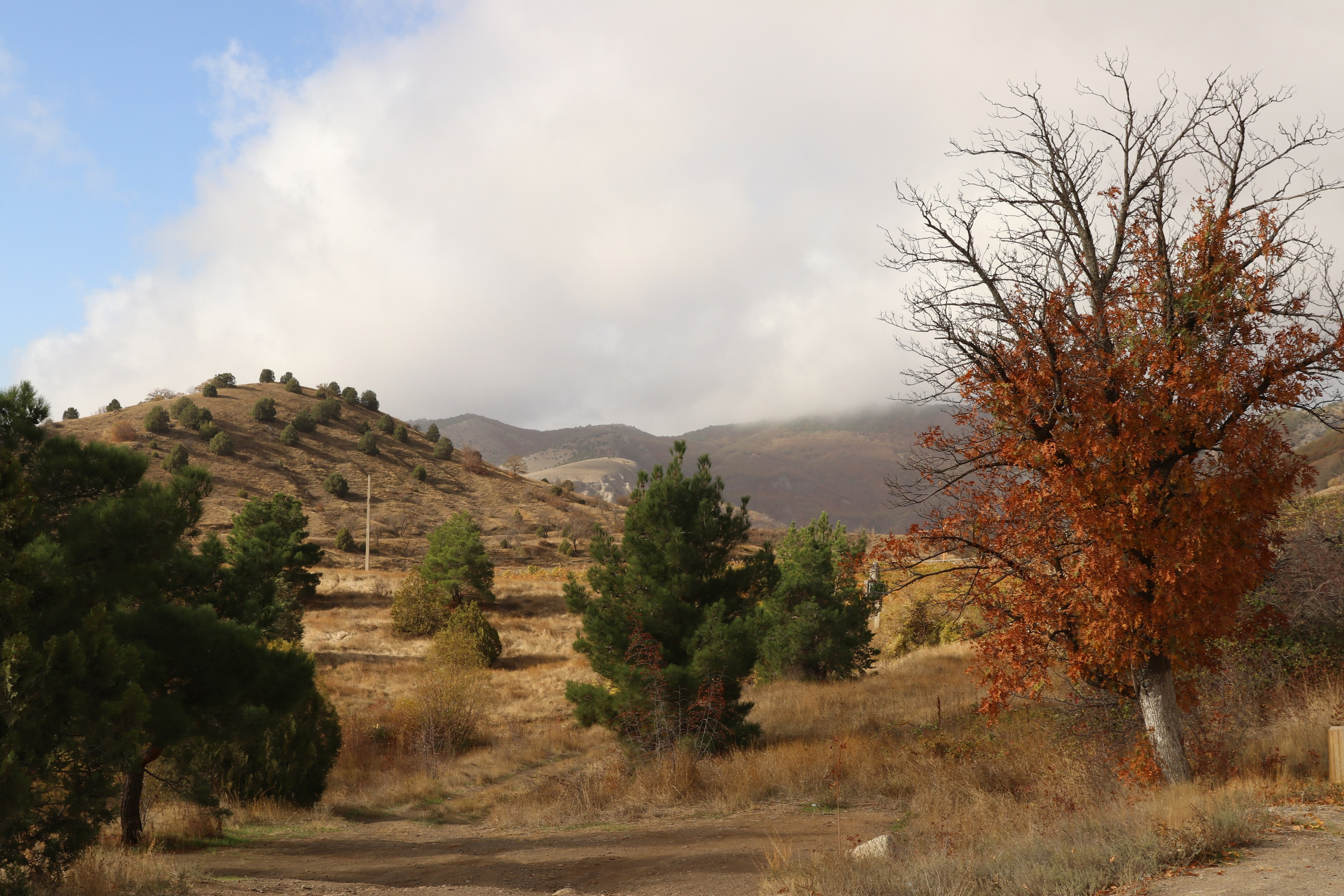 Крым. ЮБК (Гурзуф, Судак и их окрестности). Ноябрь 2023. Путешественник-фотограф из Санкт-Петербурга Татьяна Свистулина