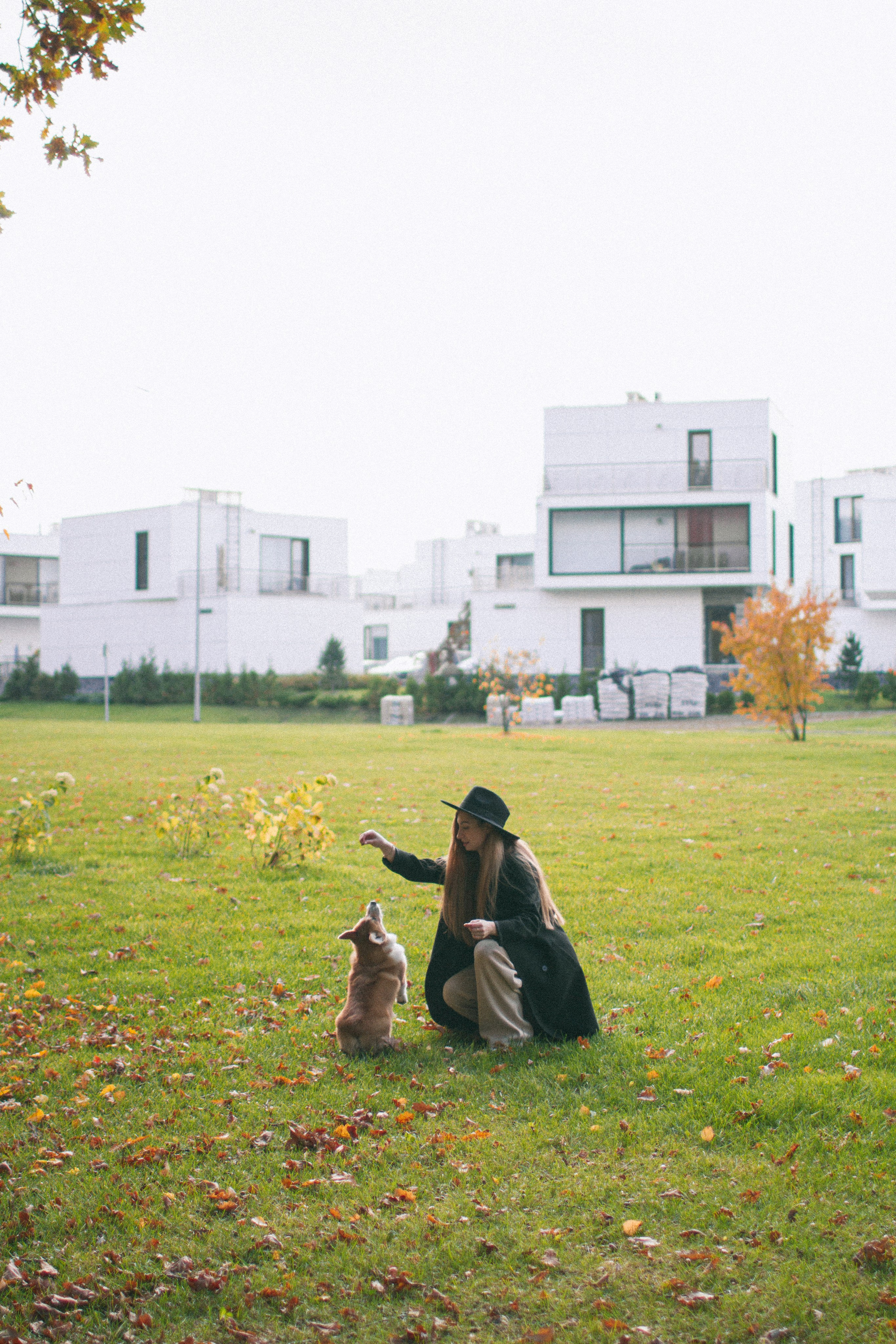 Marina & Persik. Portrait photographer in New York, Yulia Zubova