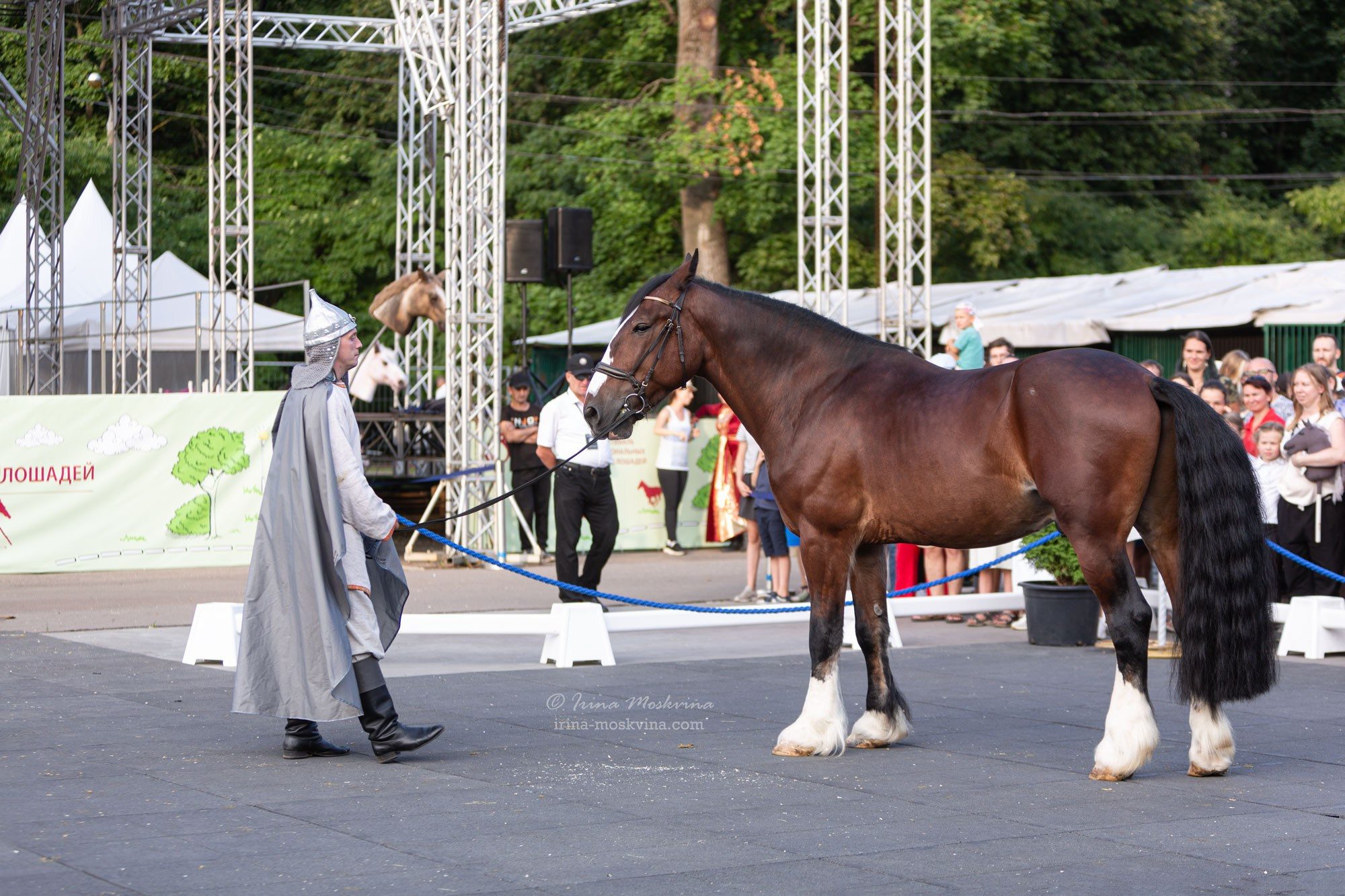 Владимирский тяжеловоз