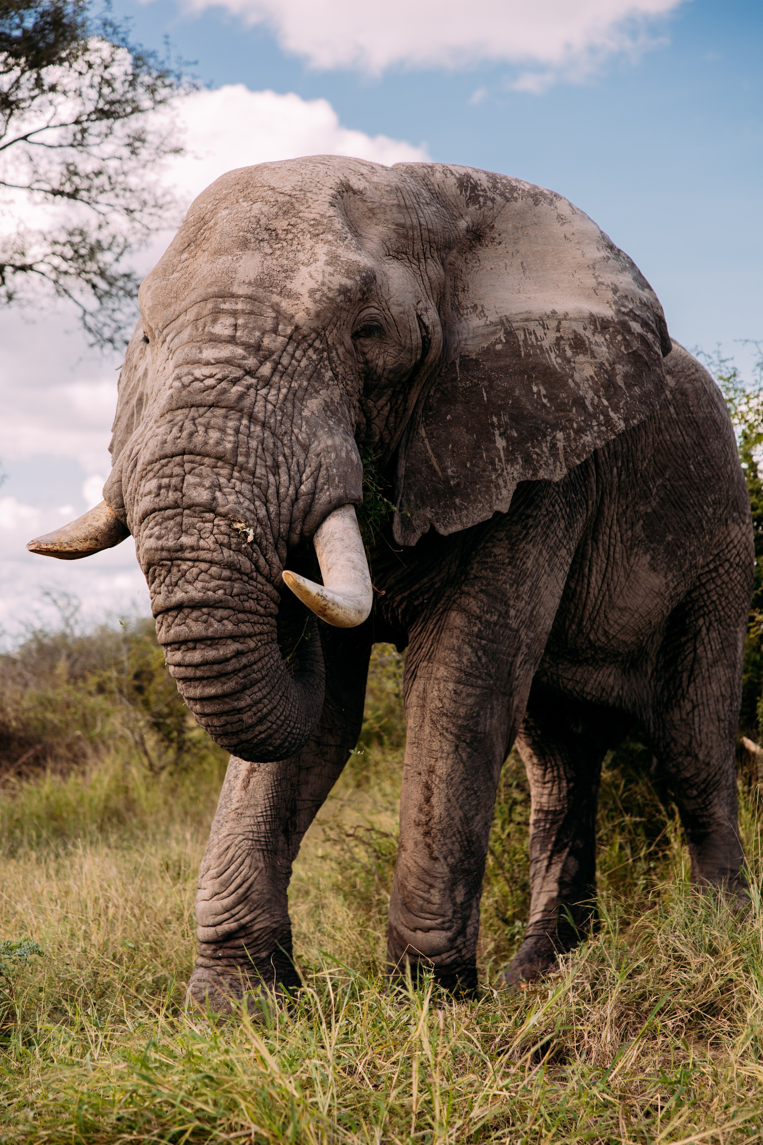 ФОТО ТУРЫ ПО МИРУ. Фотограф Марина Аблаева-Кожедуб