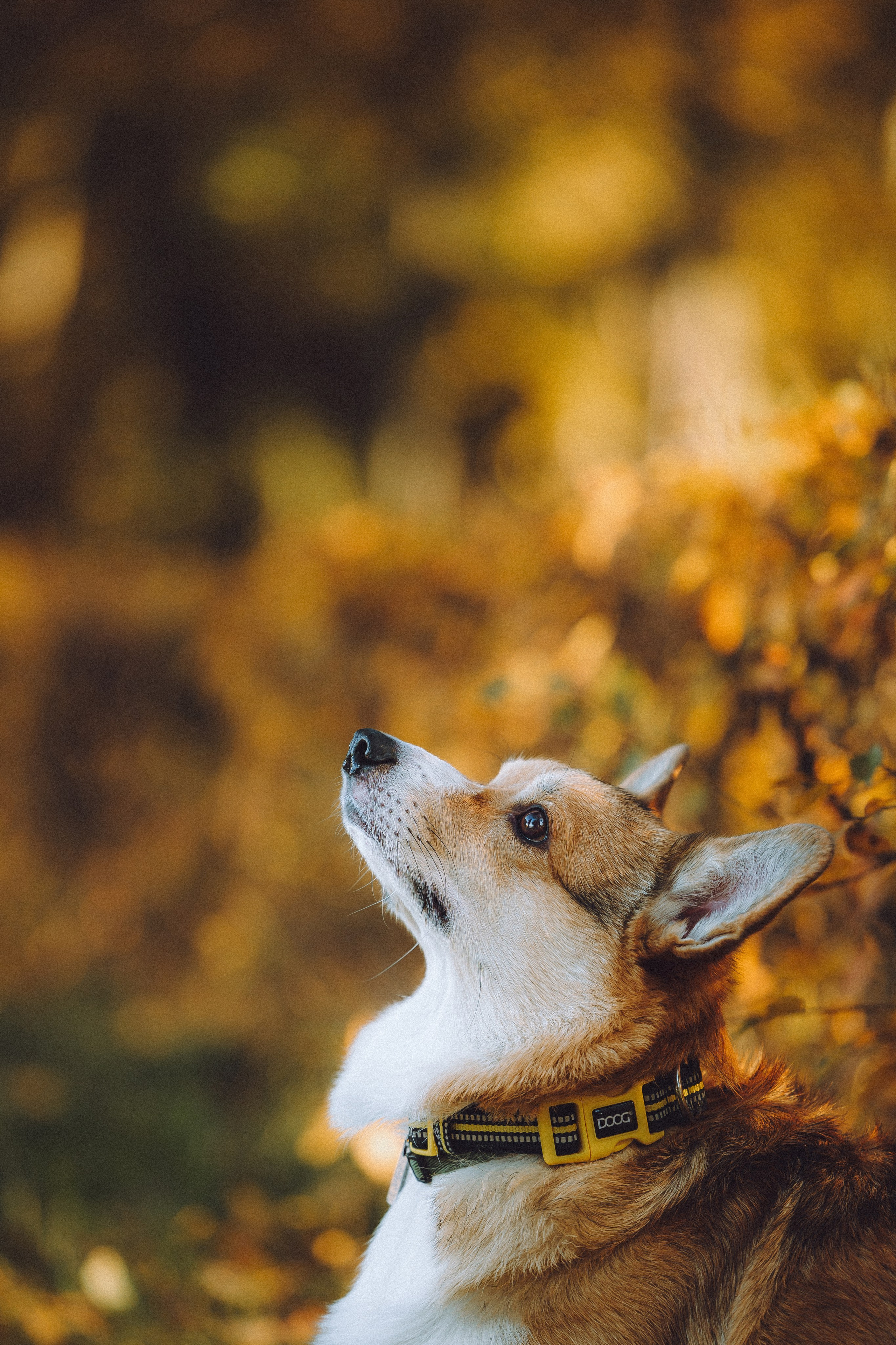 Карина, Даня и Аркаша