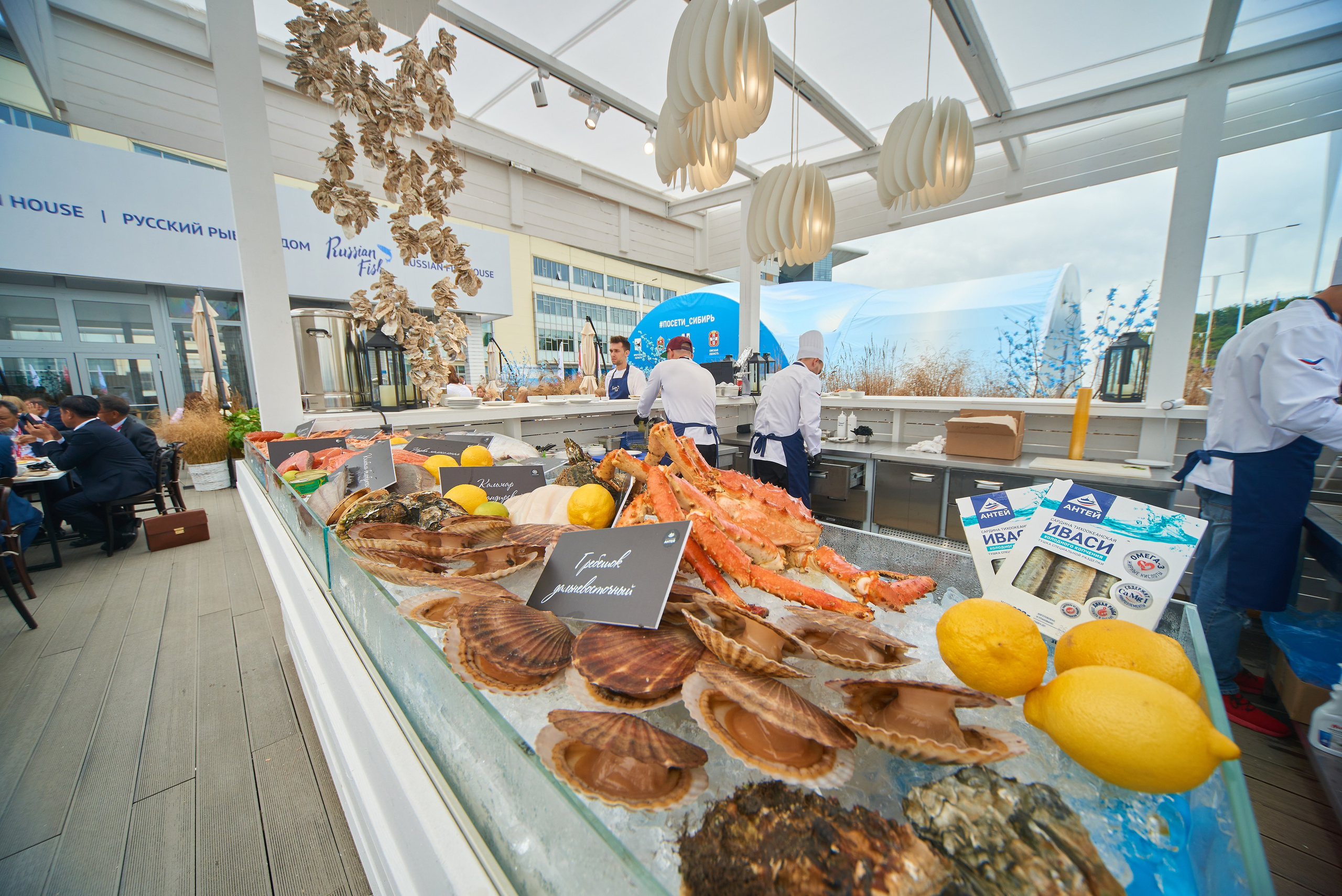 Репортаж ВЭФ. Алексей Романов фотограф Санкт-Петербург, фотокурсы, фотошкола