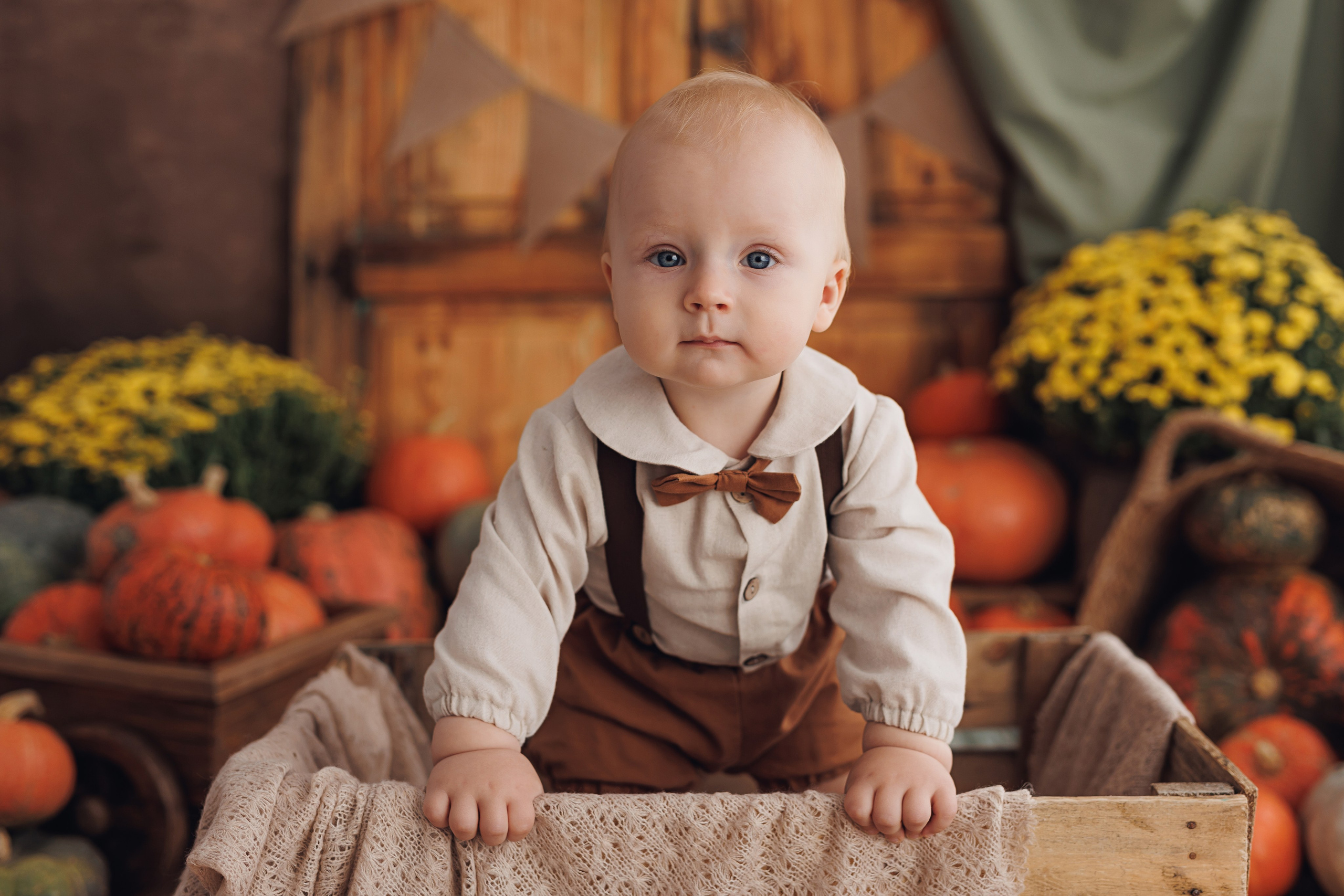 Фотопроекты. Профессиональная детская и семейная фотостудия в Краснодаре