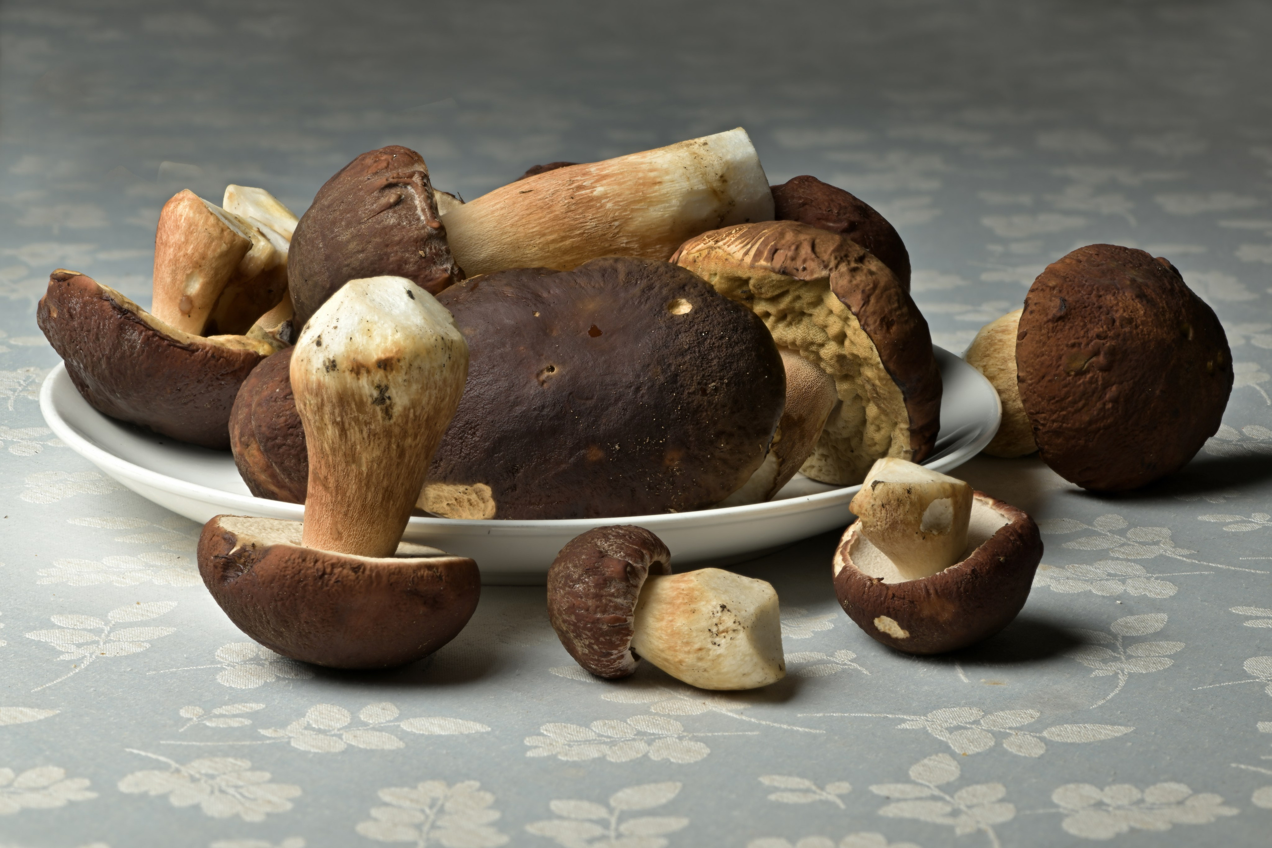 Натюрморты. Сергей Люльченко фотоальбом