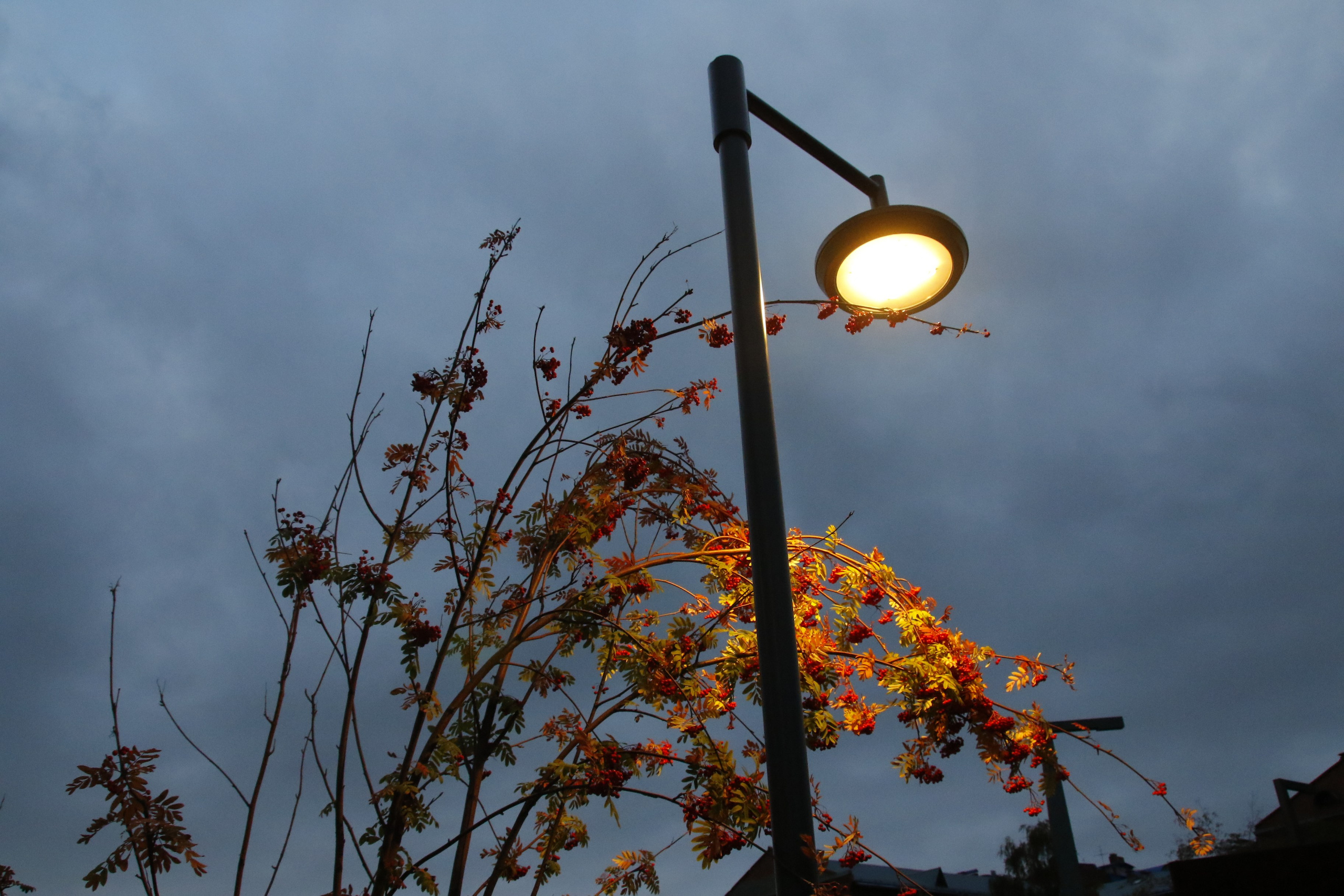 Городской пейзаж. Репортажный фотограф Анастасия Богданова из Тюмени