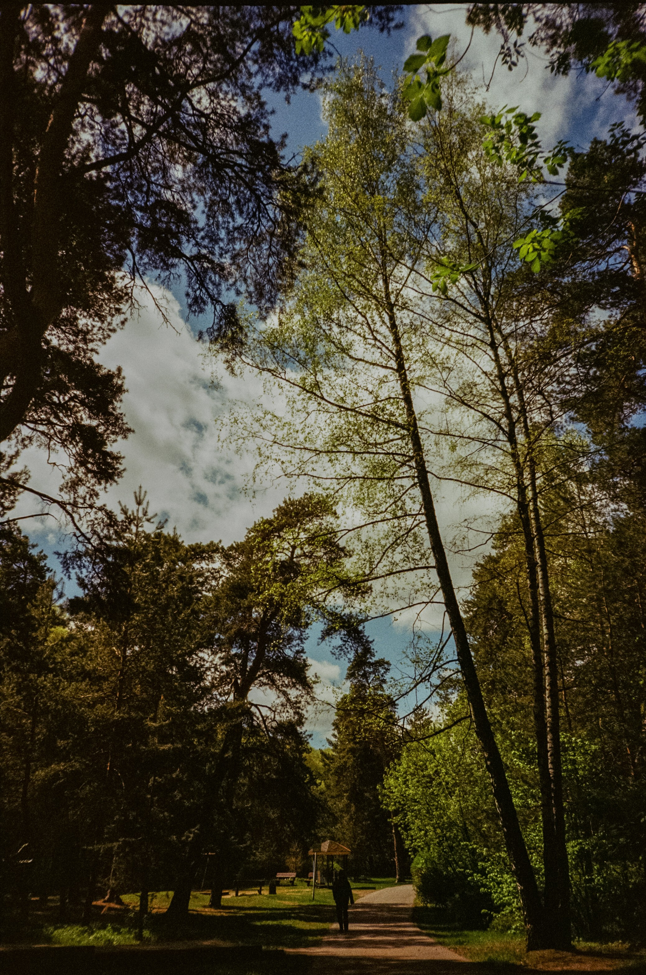 Ricoh R1 | Kodak ProImage 100 | 6 мая 2025 года СерБор