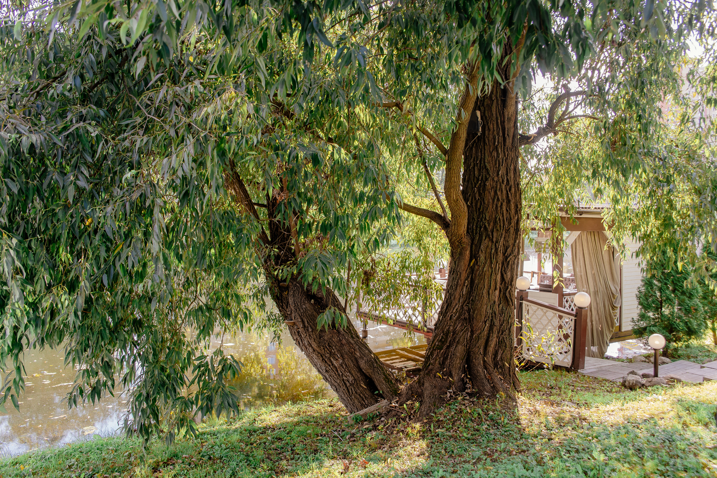 Оксана & Евгений. Видеограф и фотограф на свадьбу в Москве