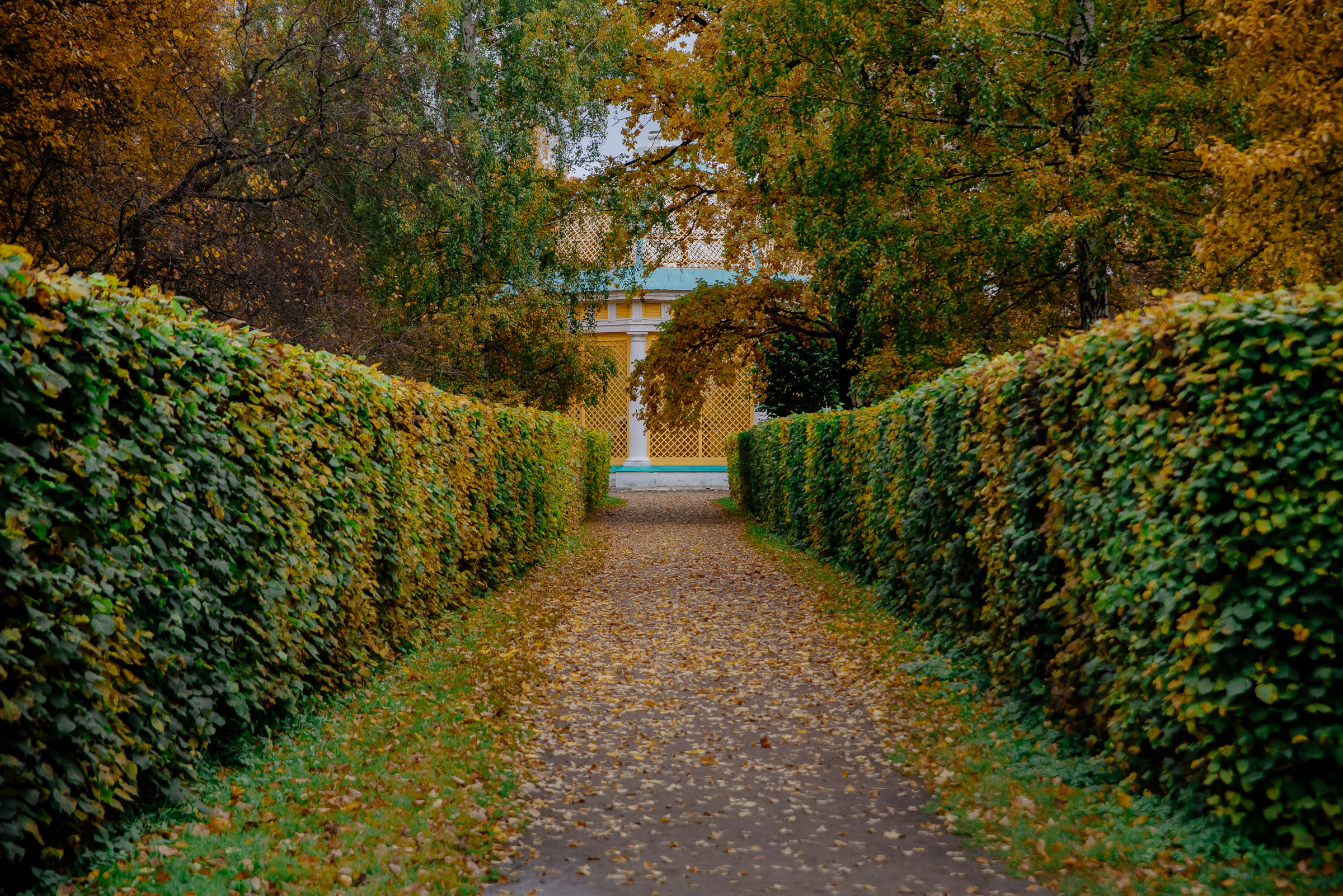 Евгения & Николай. Видеограф и фотограф на свадьбу в Москве
