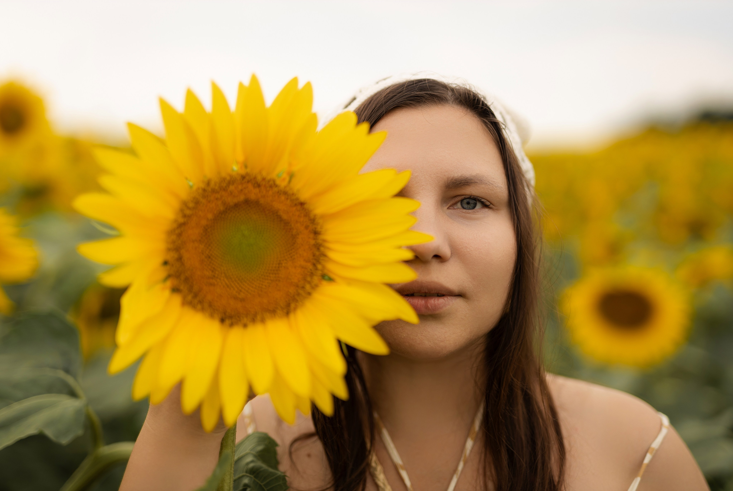 Подсолнухи. Фотограф в Нижнем Новгороде, Дзержинске Олеся Хозяева