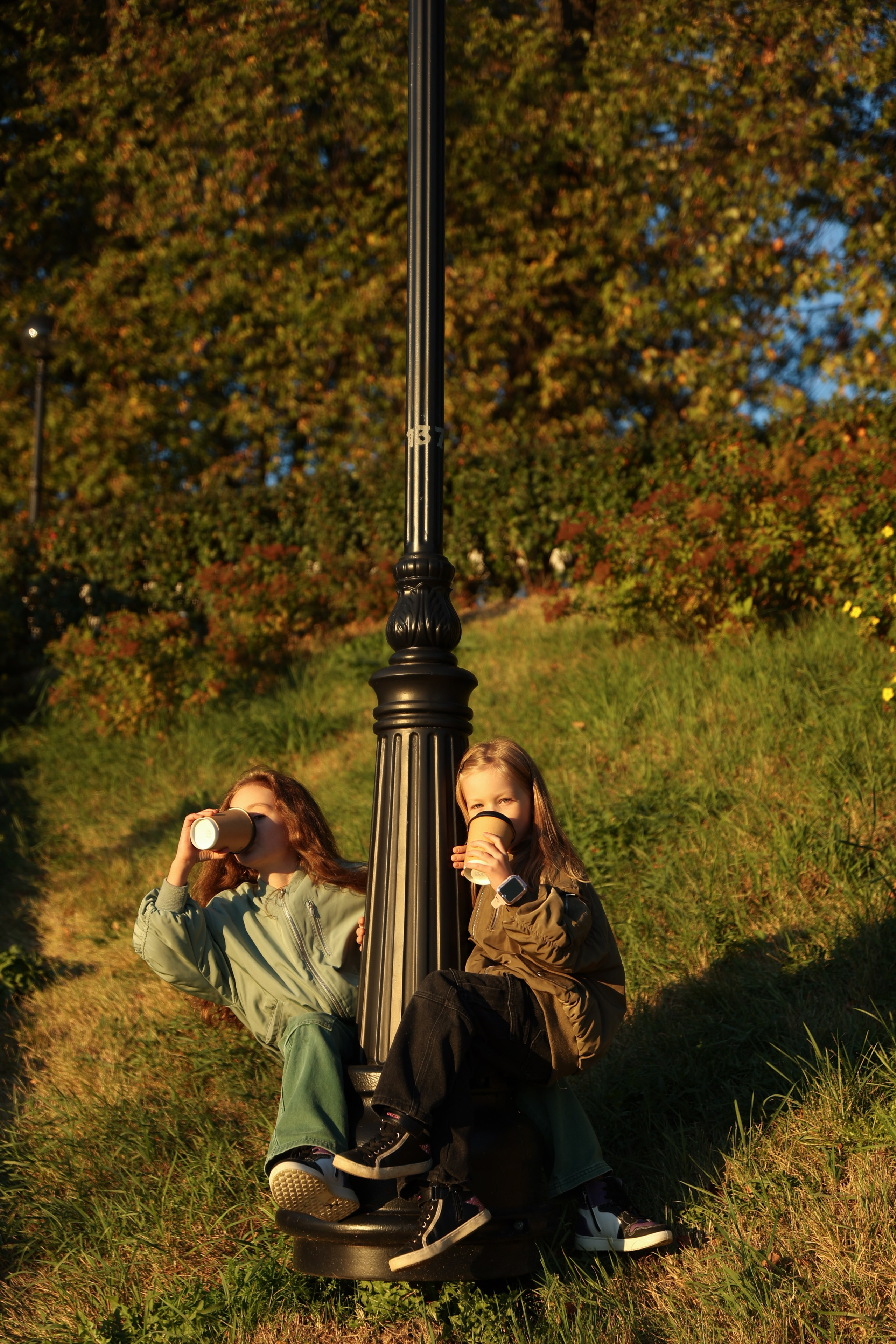 Alena-band. Главная