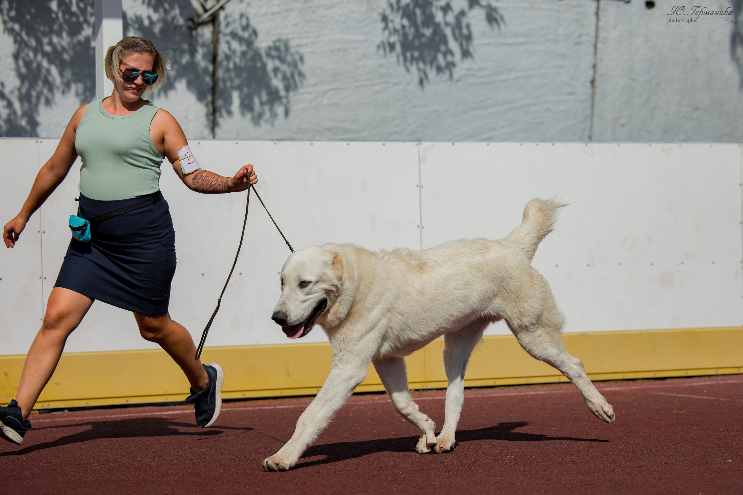 Коломна 30.08.2025. Фотограф-анималист Юлия Германика