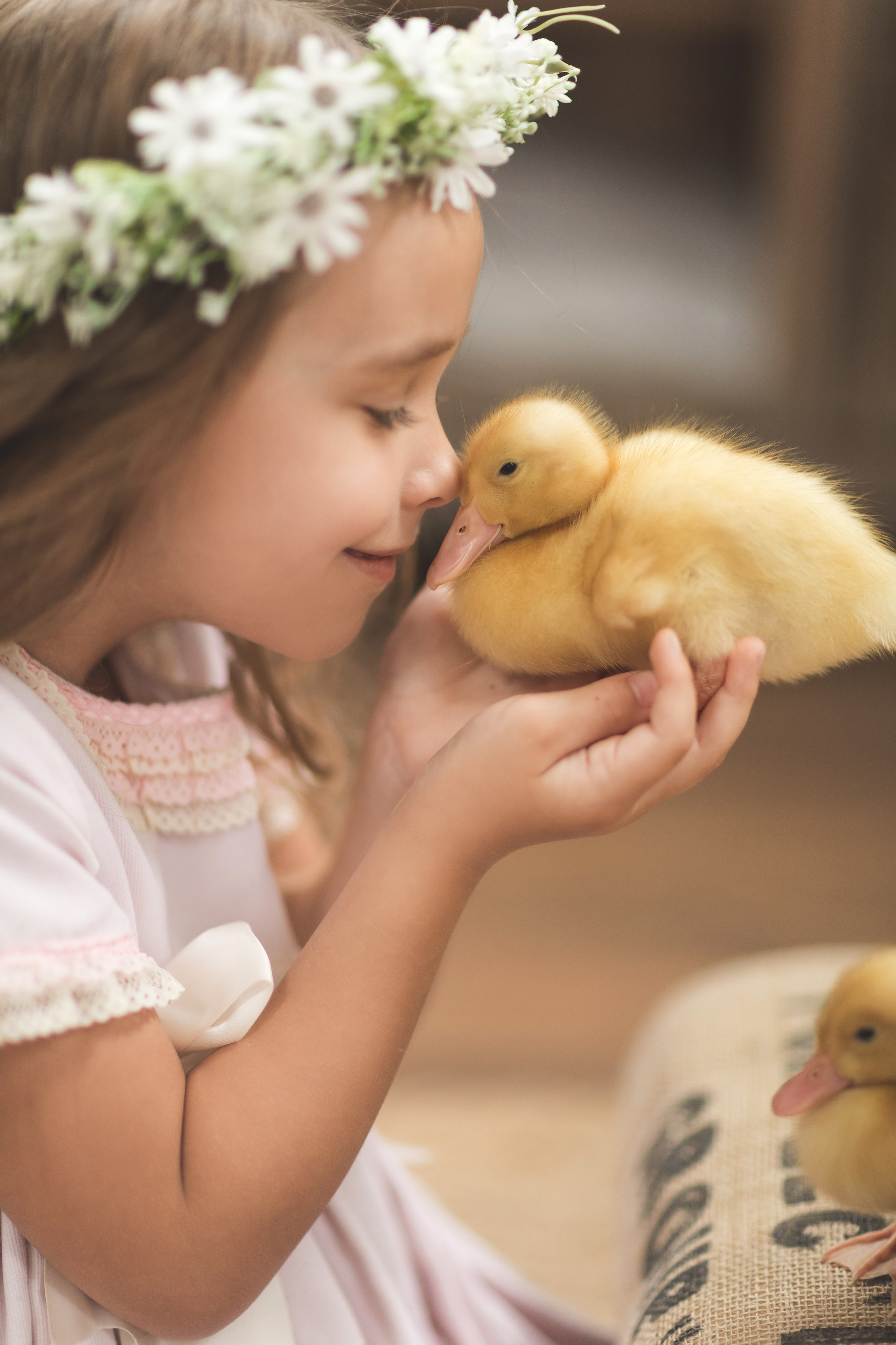 Пасха с животными (3,4 апреля). Семейный и детский фотограф Краснодар Валерия Власенко