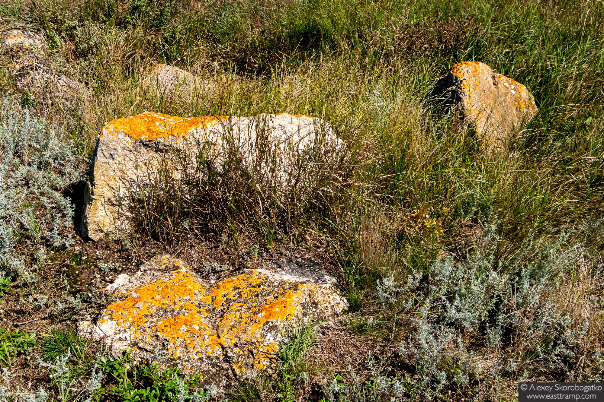 Археологические раскопки некрополя Кыз-Аул в Крыму. Фотограф Алексей Скоробогатько