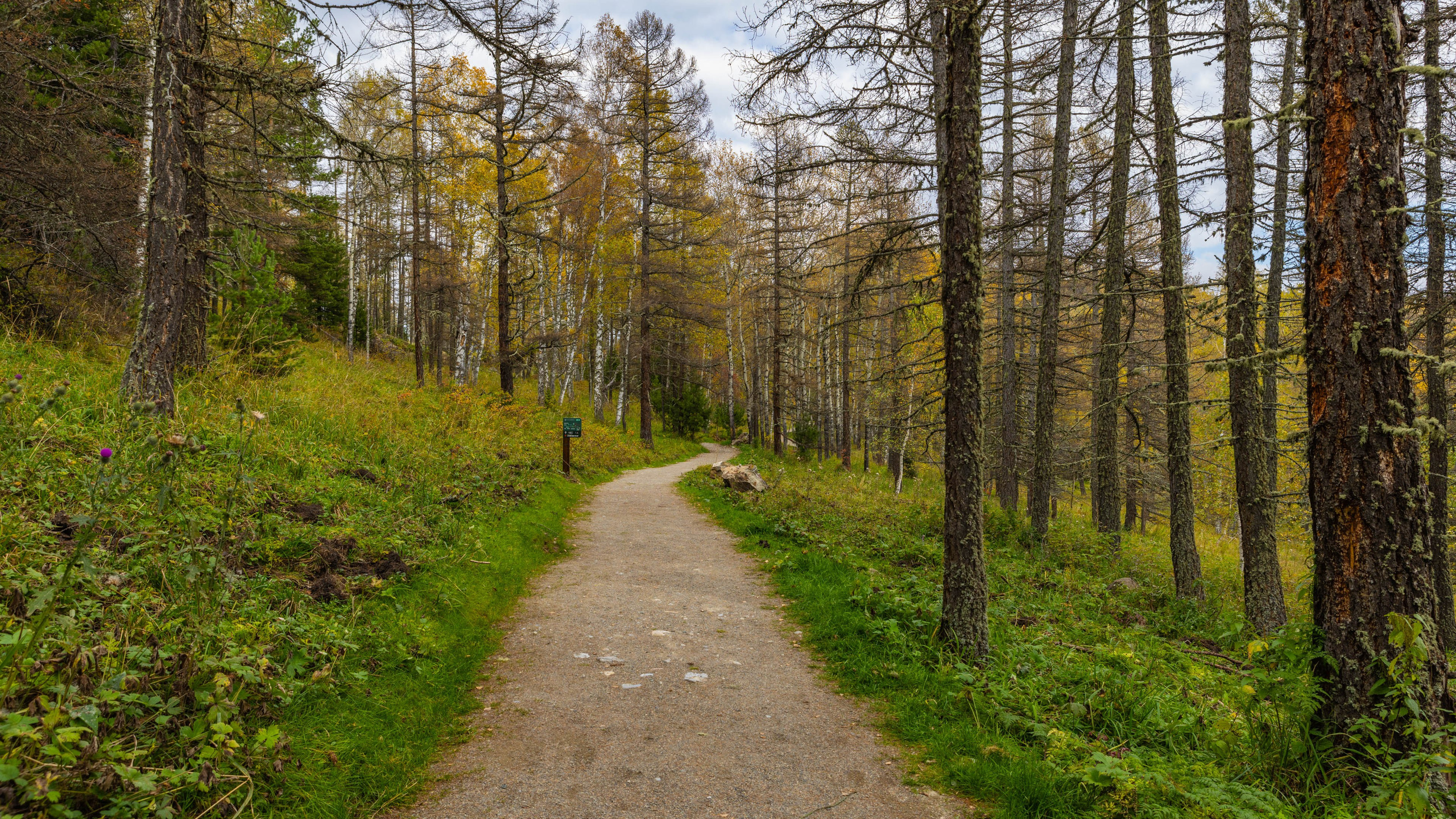 2025 09 Алтай. Чуйский тракт. Фотографии