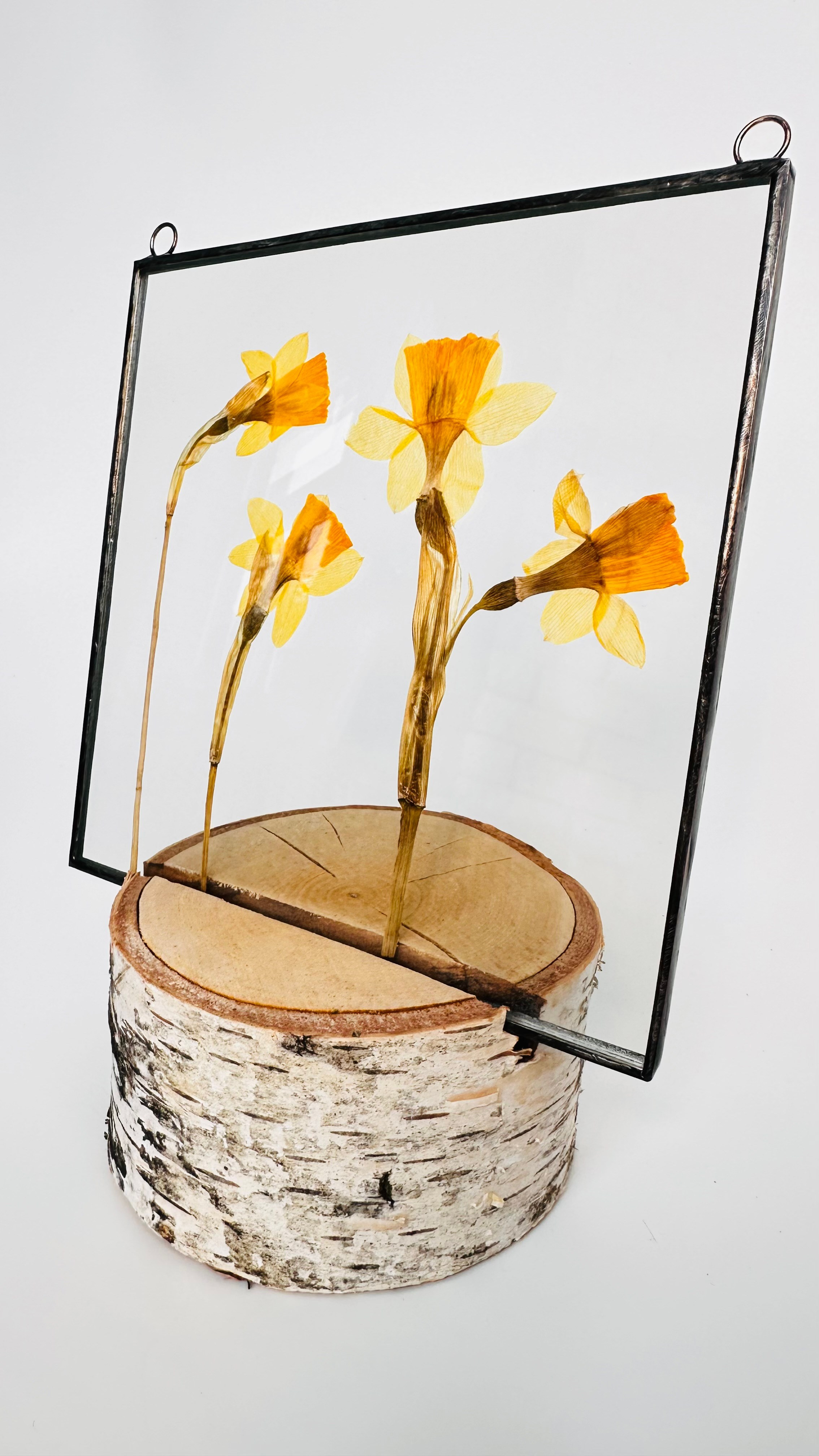 Гербарий в стекле с сухоцветами (витраж в технике тиффани). Гербарий в стекле, интерьерные панно, витражи с сухоцветами в технике тиффани