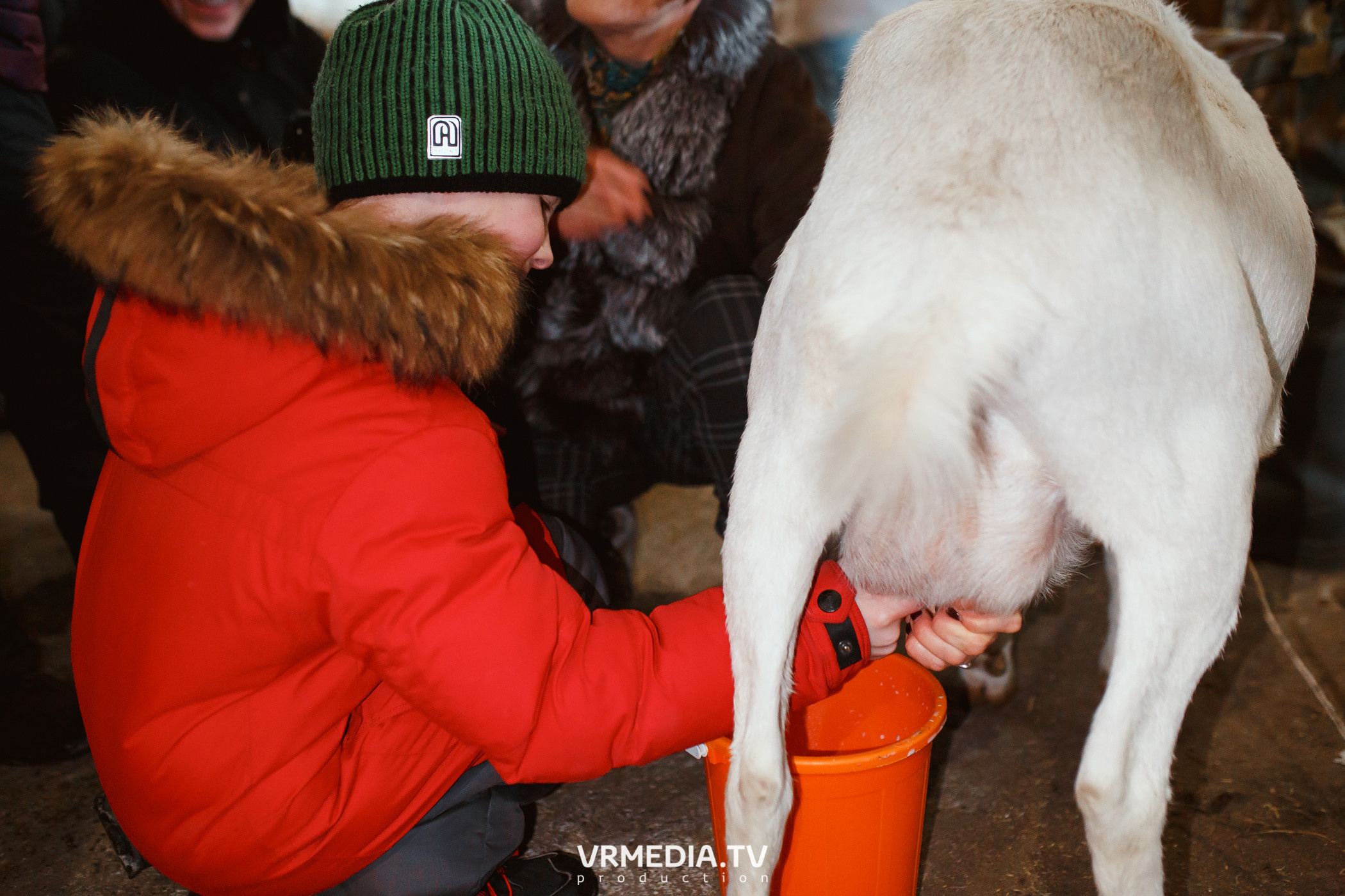 Экскурсия — дегустация на «Сыроварне Лобанова»