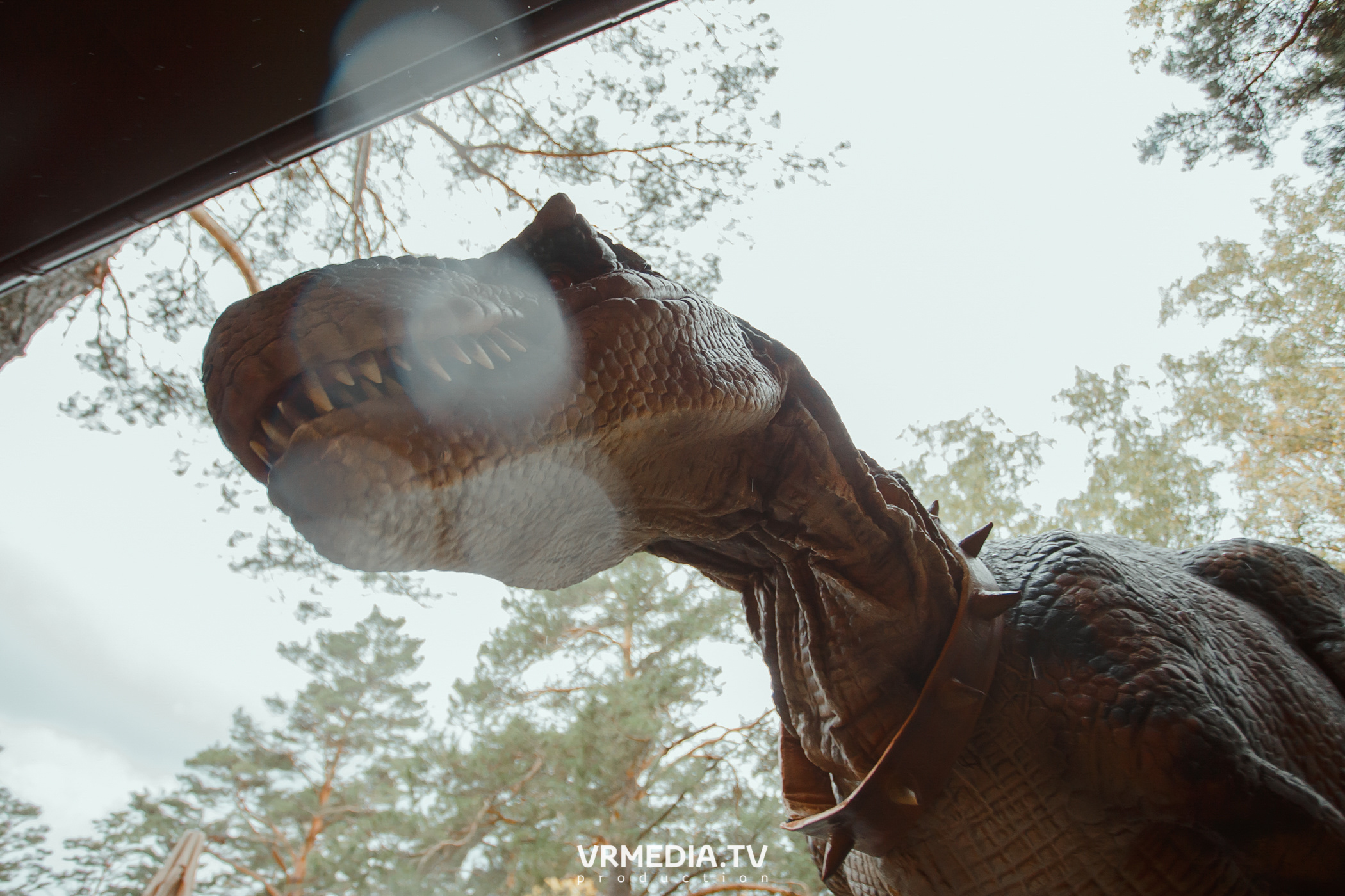 «Джуманджи» в эко-отеле «Лукоморье»