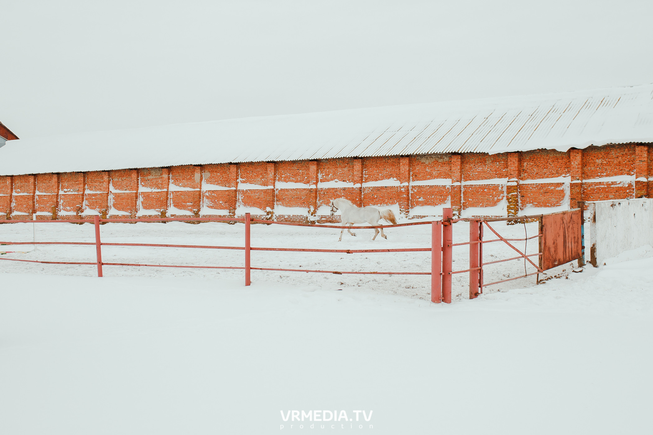 Экскурсия — дегустация на «Сыроварне Лобанова»