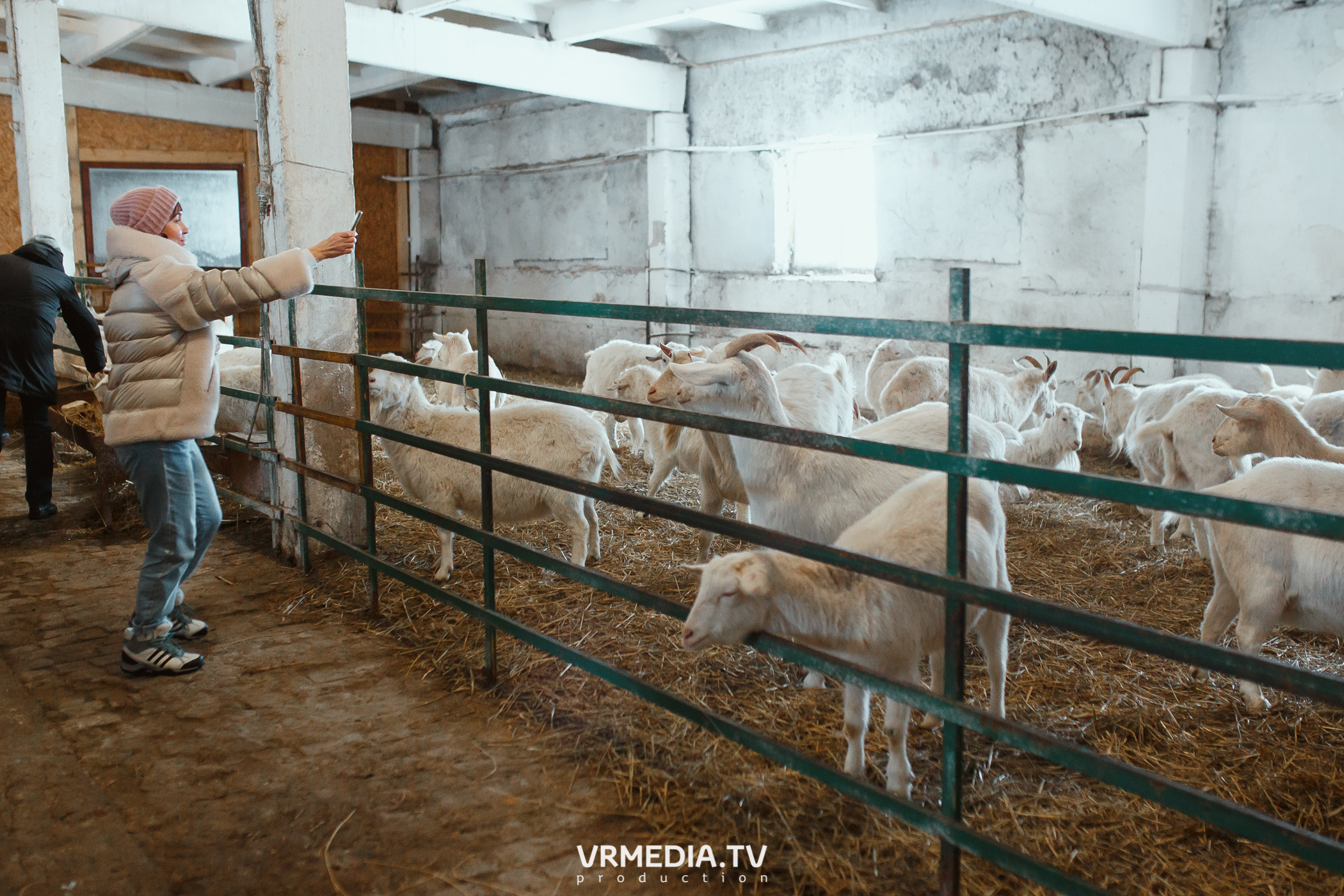 Экскурсия — дегустация на «Сыроварне Лобанова»